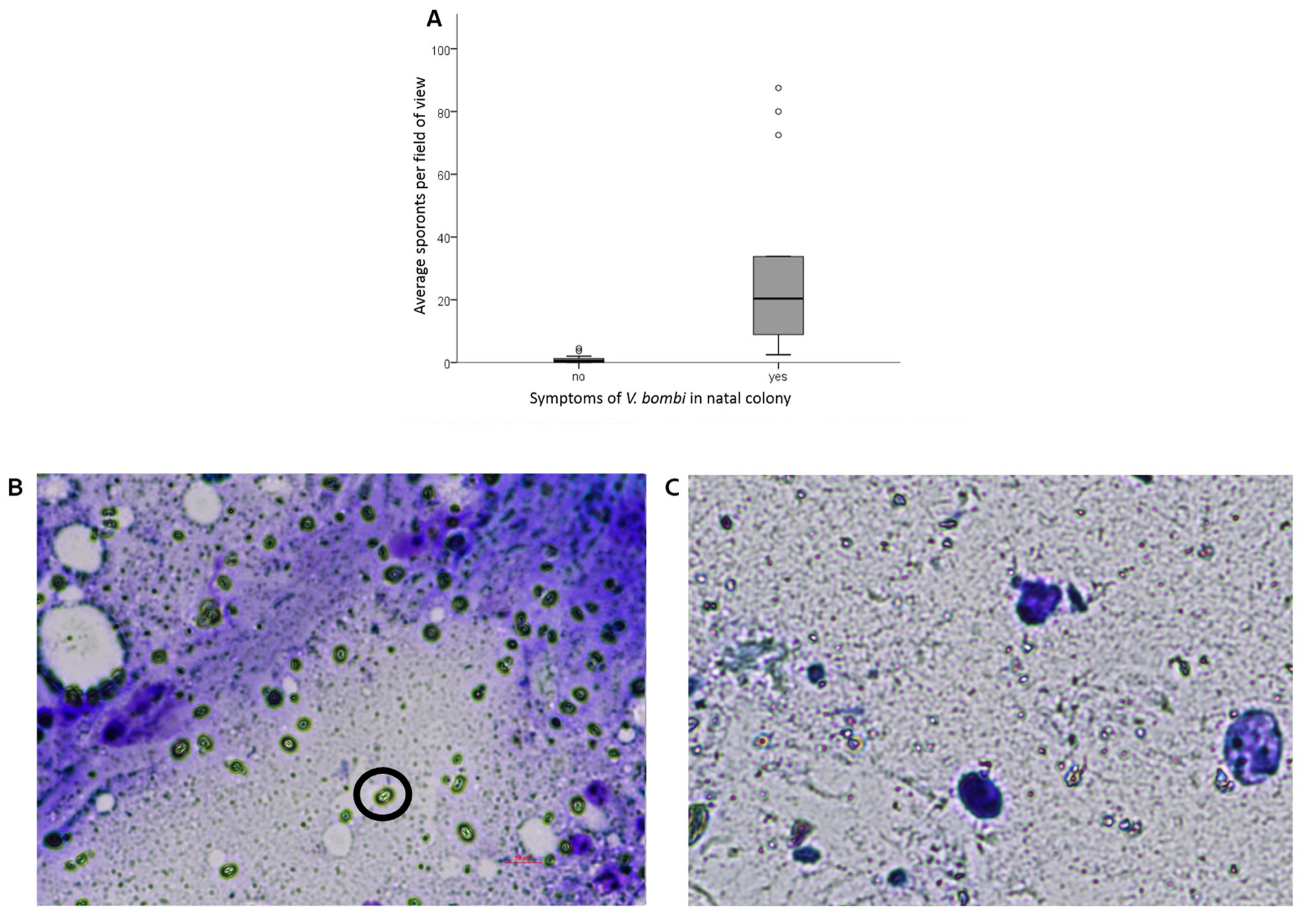 Animals 13 01656 g001