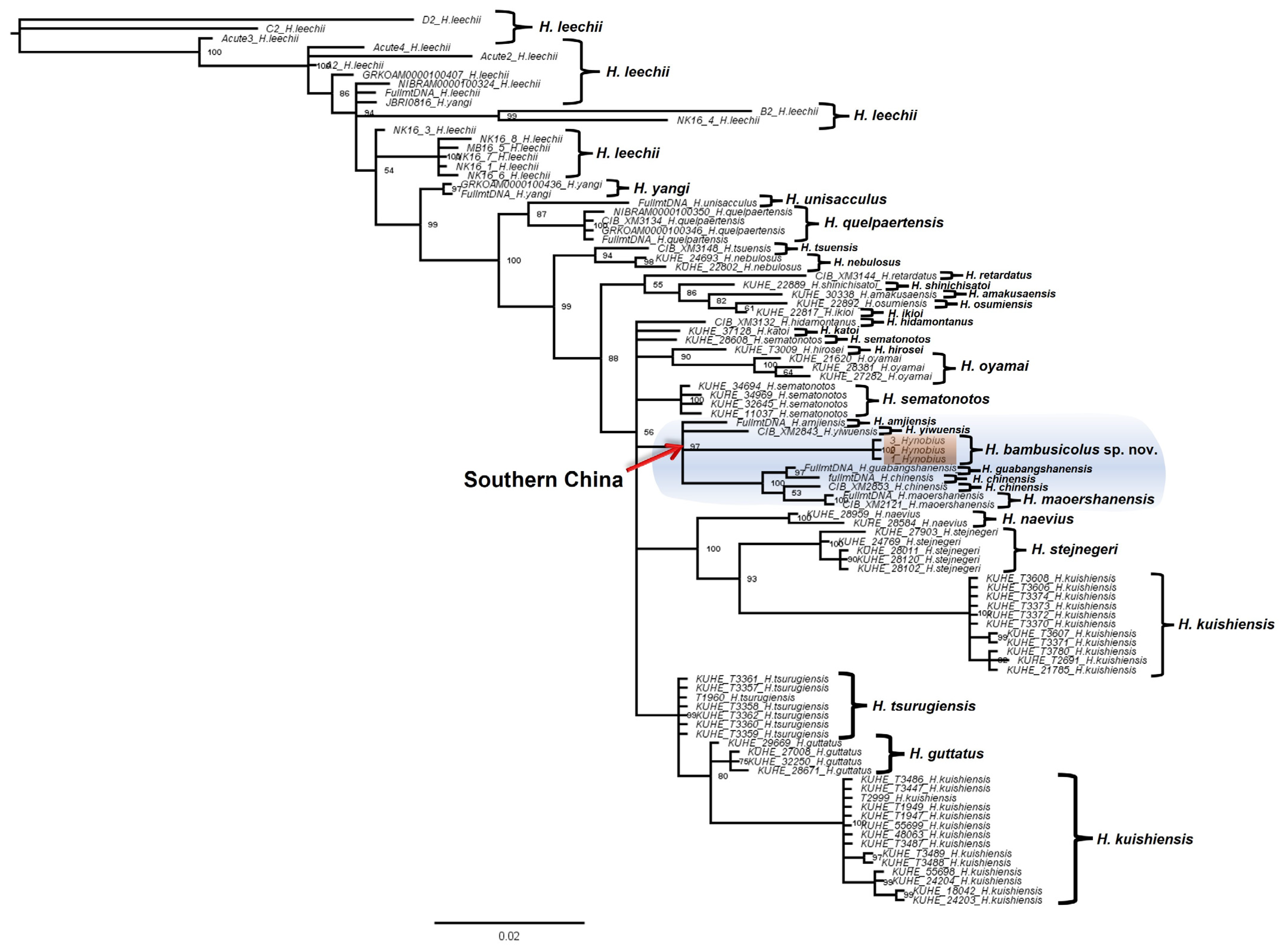 Animals 13 01661 g001