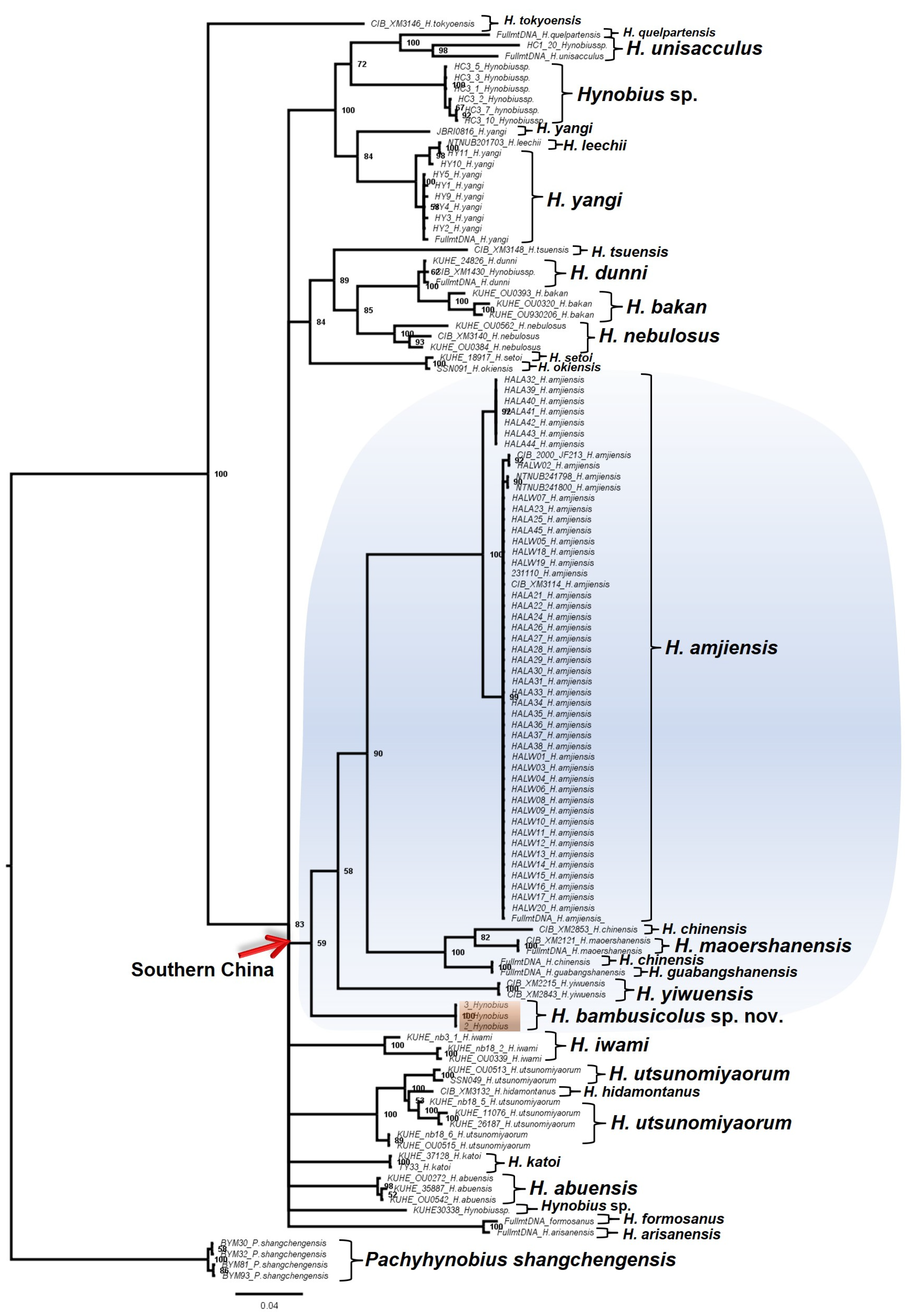 Animals 13 01661 g002