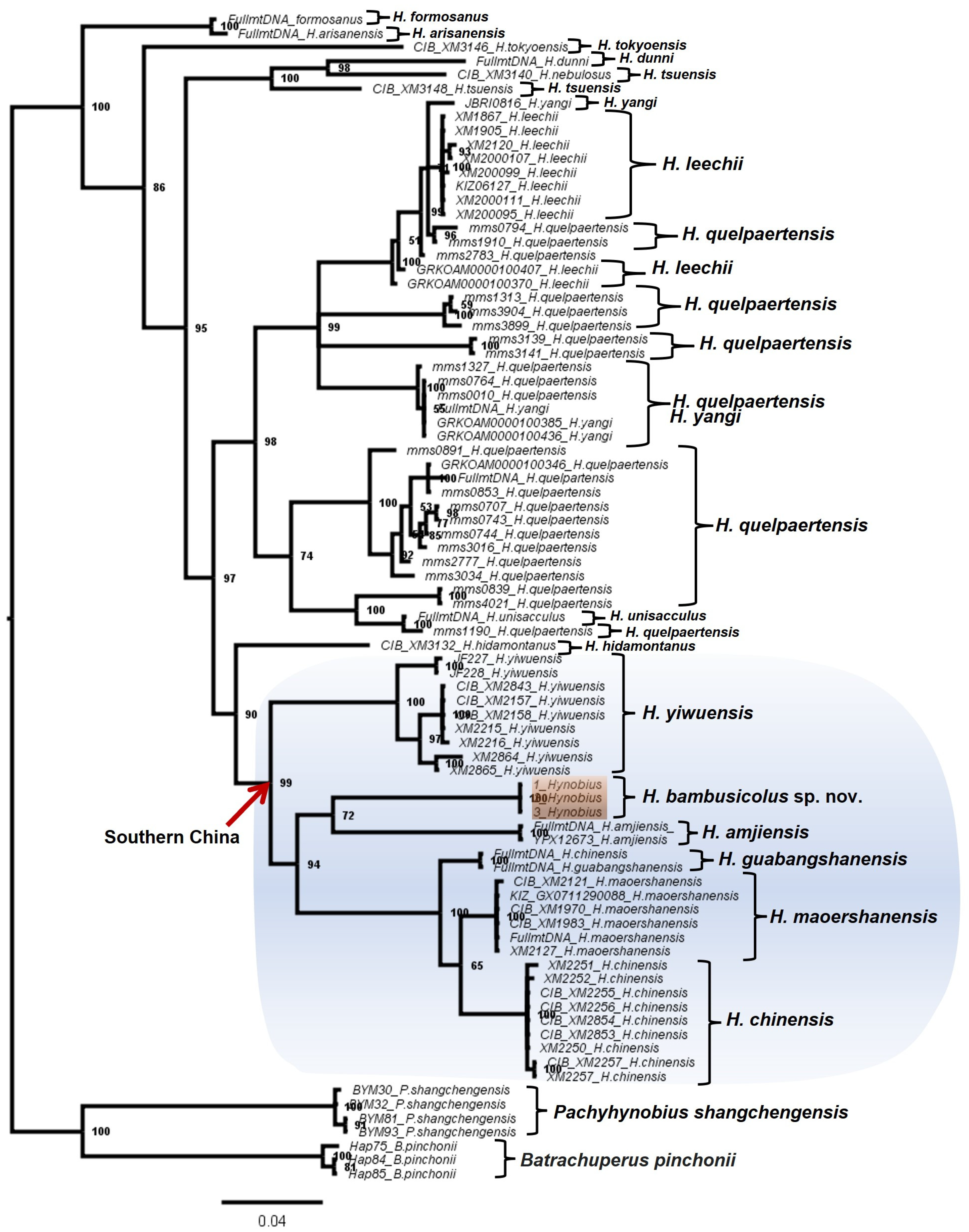 Animals 13 01661 g003