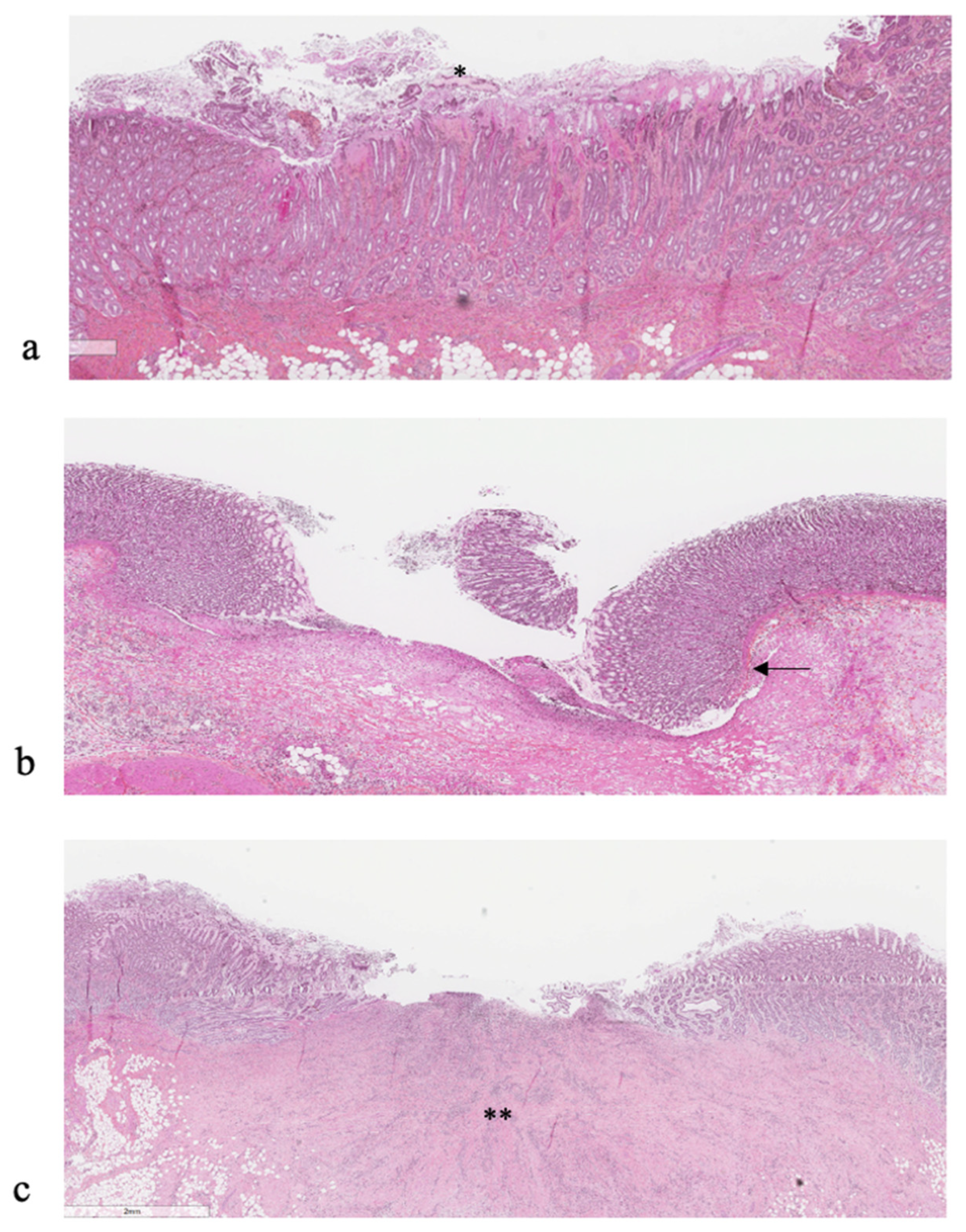 Animals 13 01664 g003 Animals 13 01664 g003