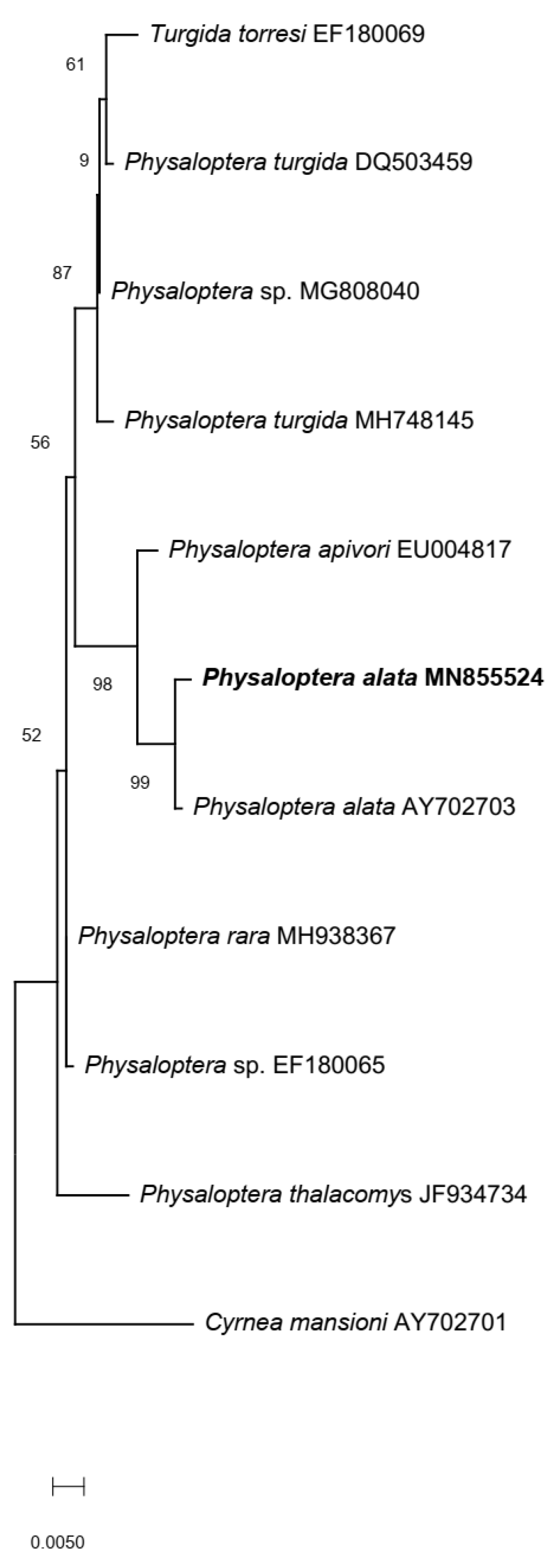 Animals 13 01669 g003 Animals 13 01669 g003