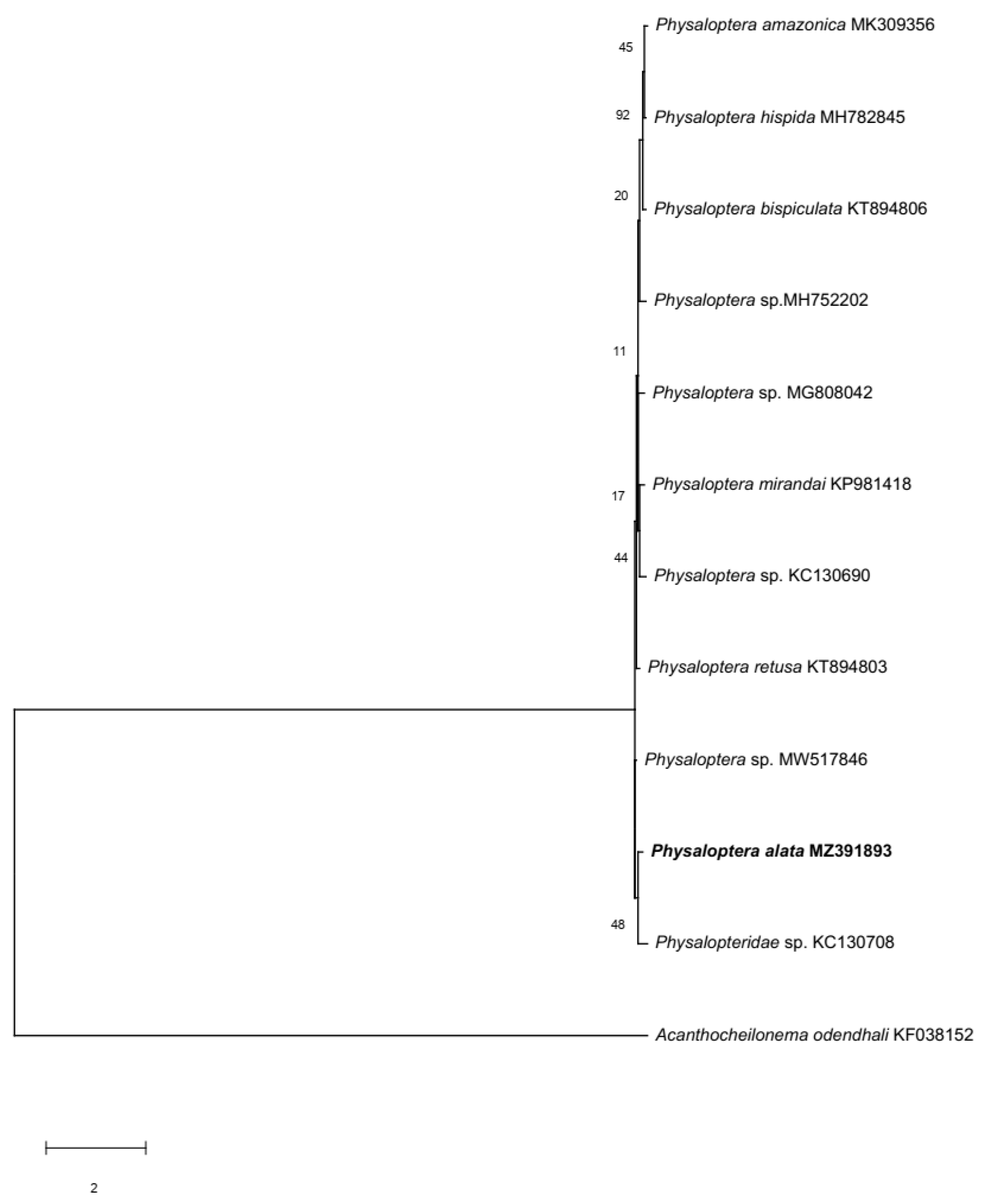 Animals 13 01669 g004 Animals 13 01669 g004