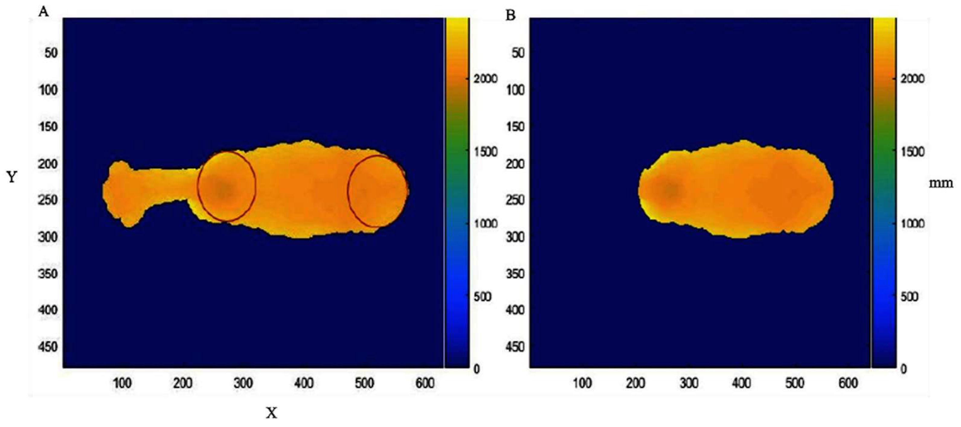 Animals 13 01679 g001 Animals 13 01679 g001