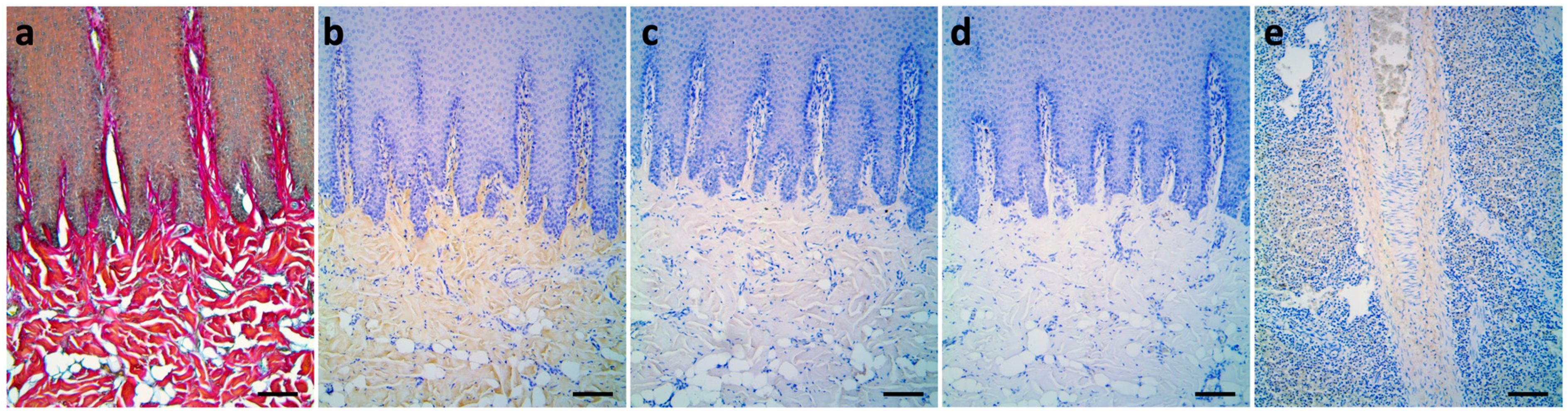 Animals 13 01681 g002 Animals 13 01681 g002