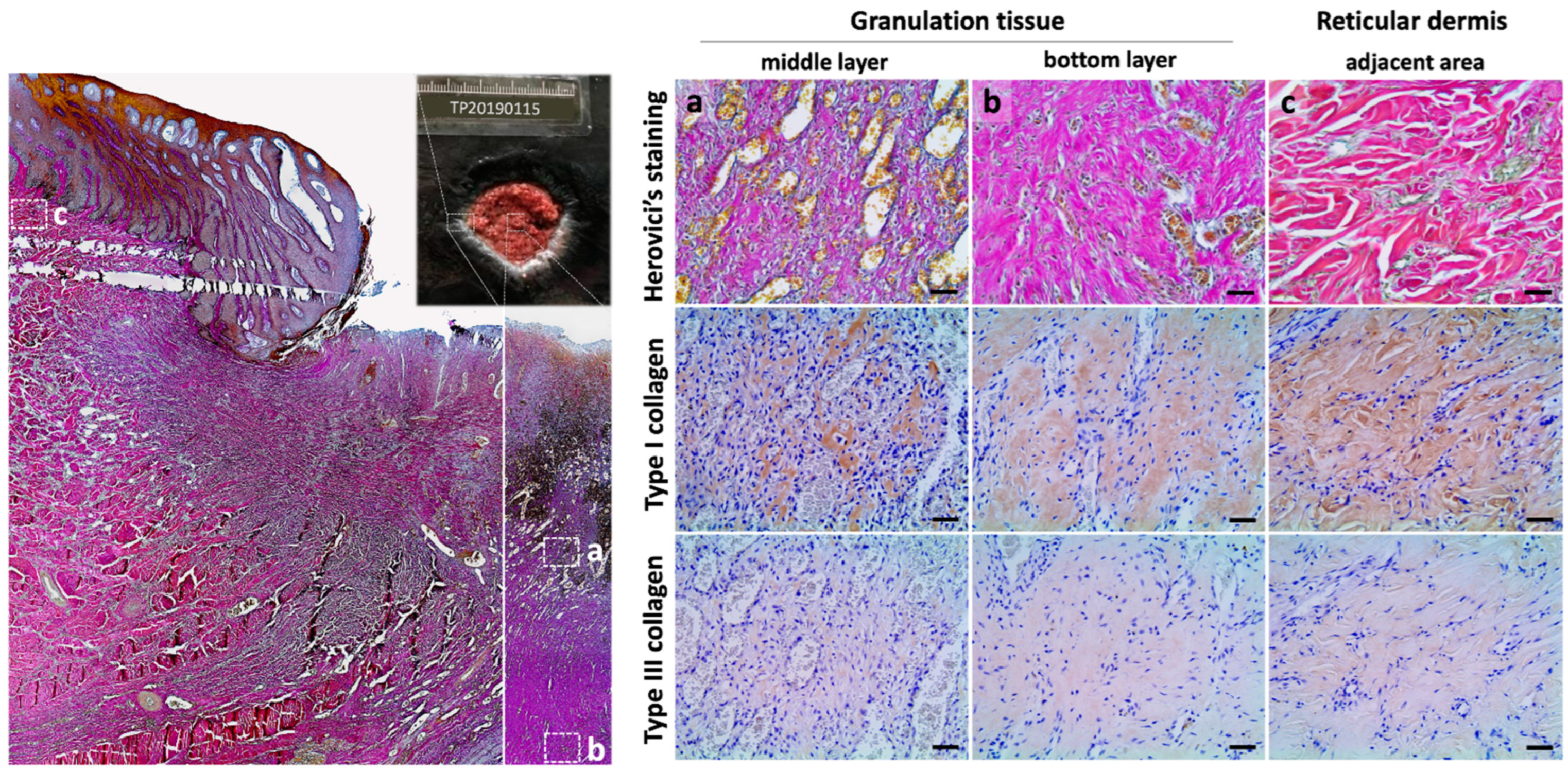 Animals 13 01681 g004 Animals 13 01681 g004