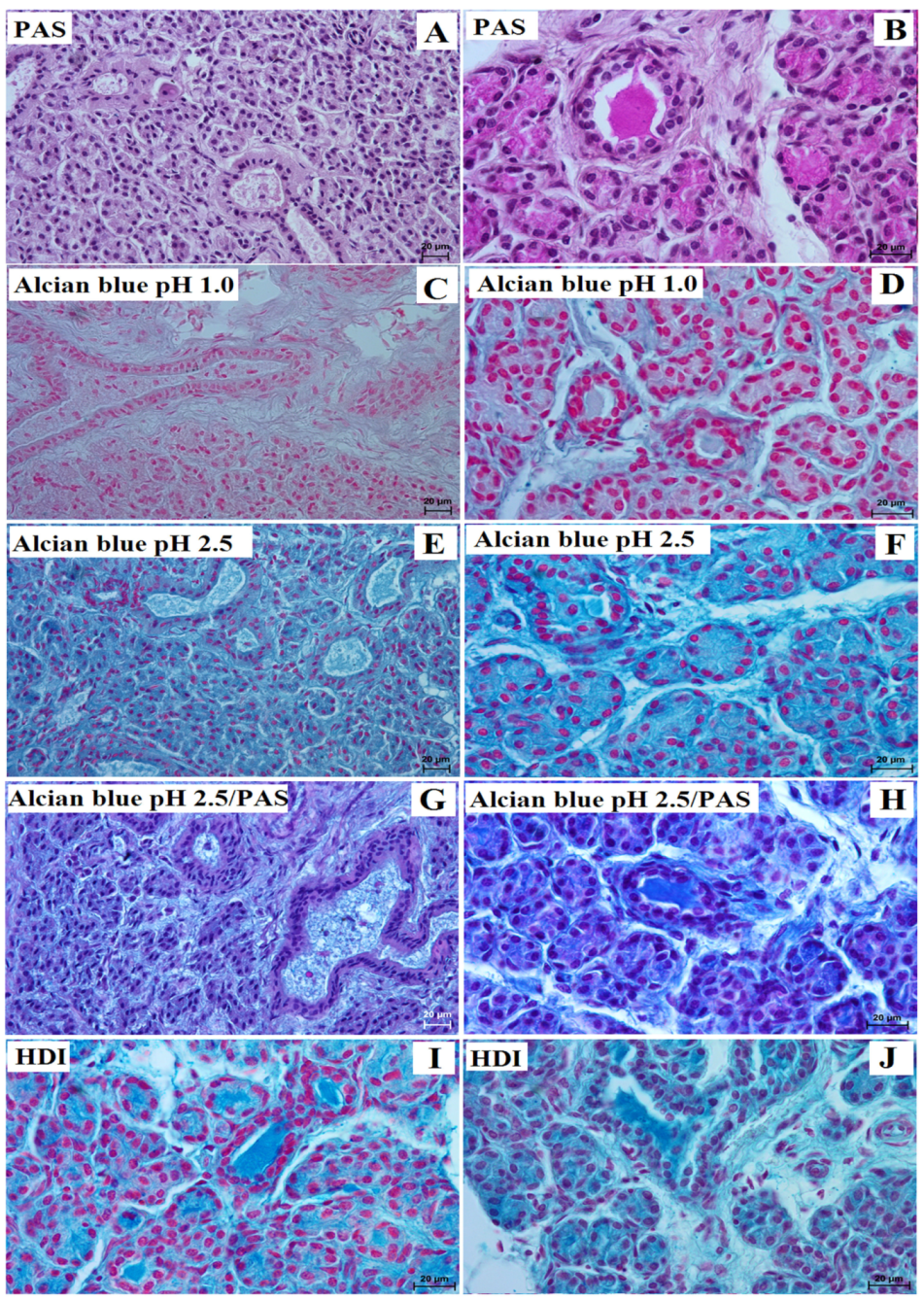 Animals 13 01684 g002