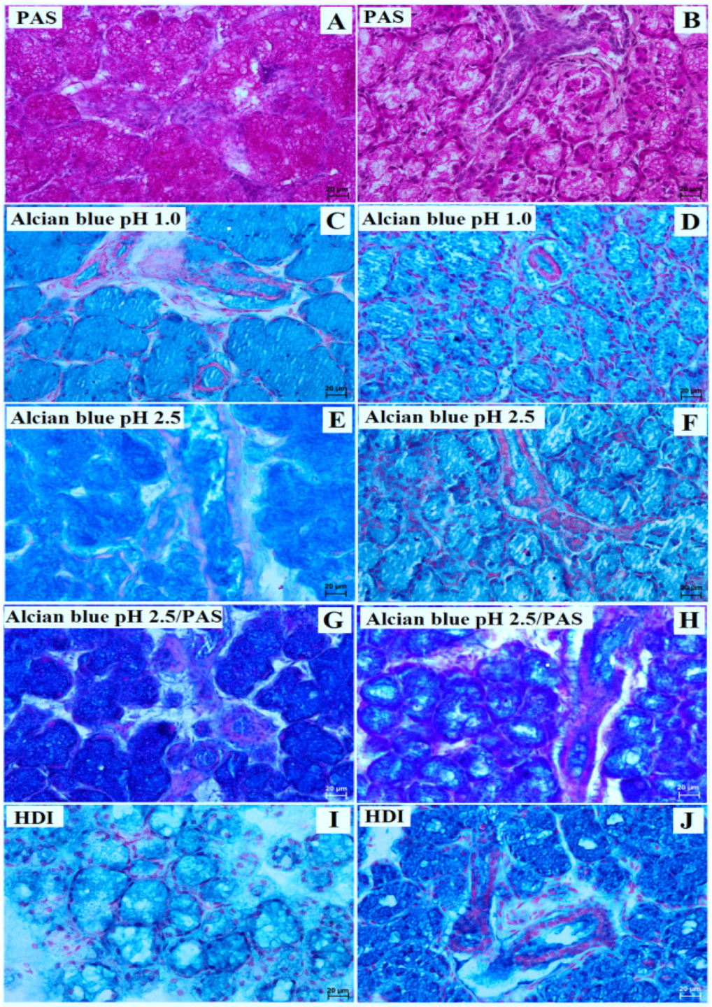 Animals 13 01684 g004