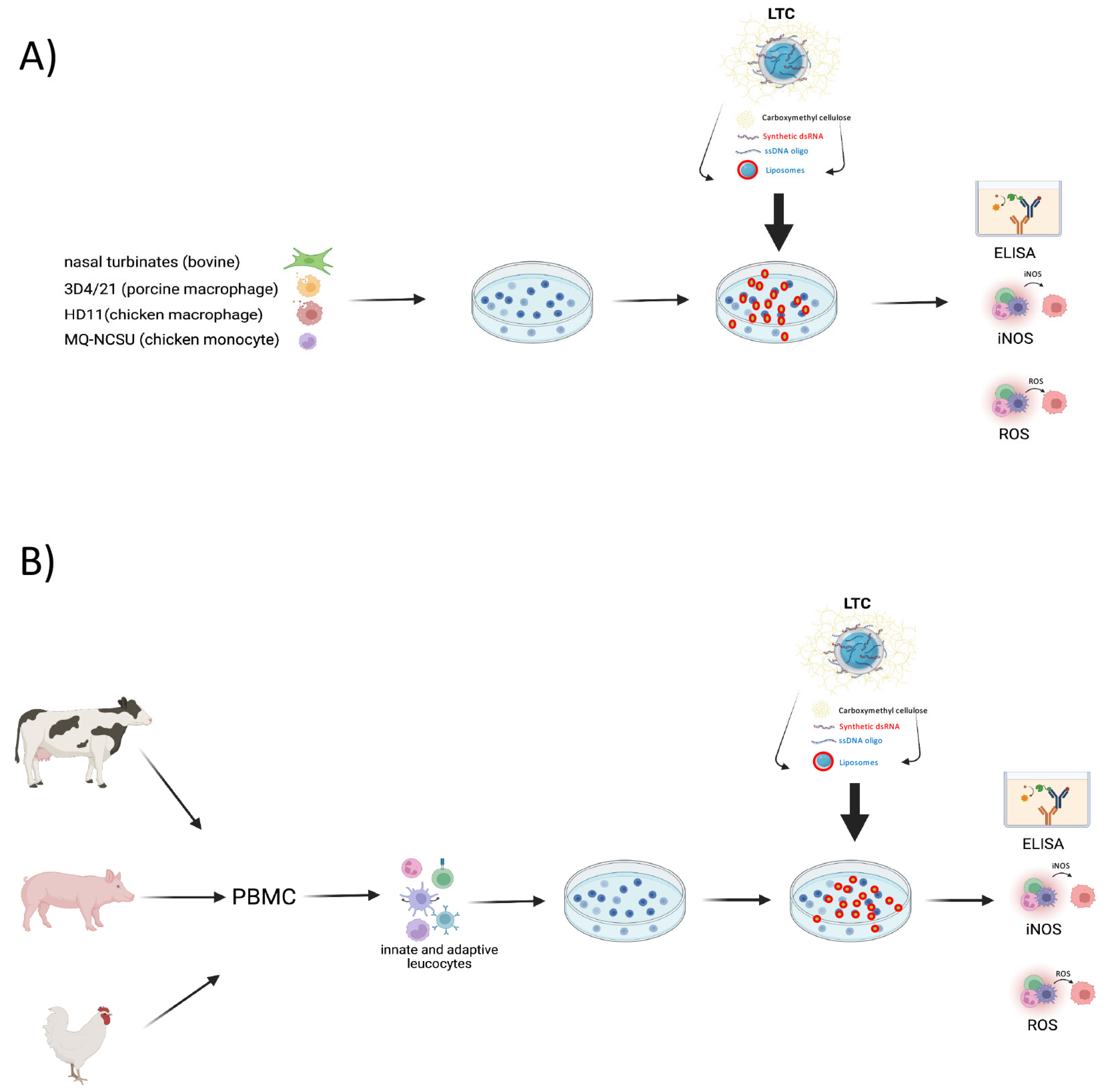 Animals 13 01686 g001 Animals 13 01686 g001
