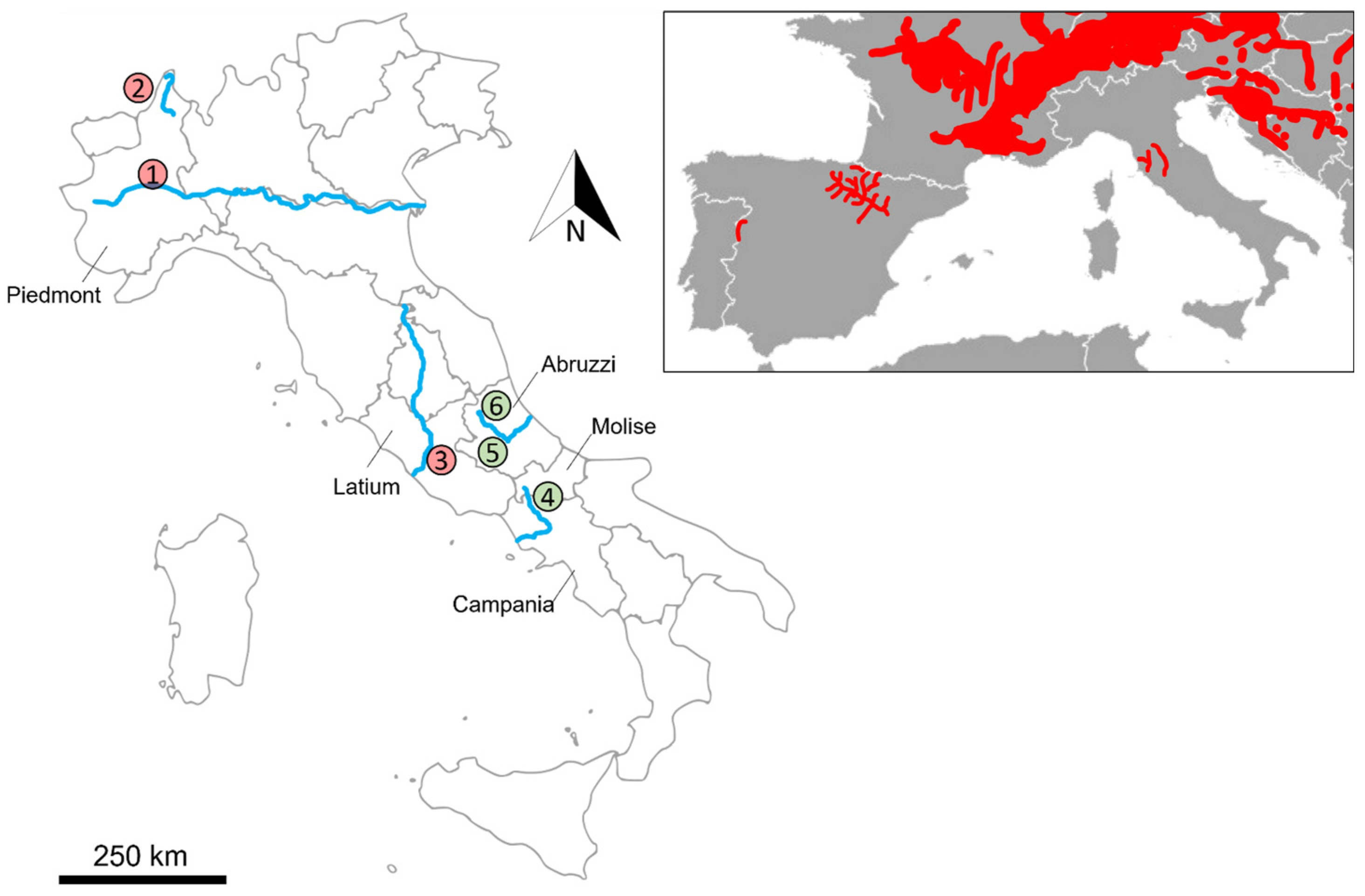 Animals 13 01699 g001