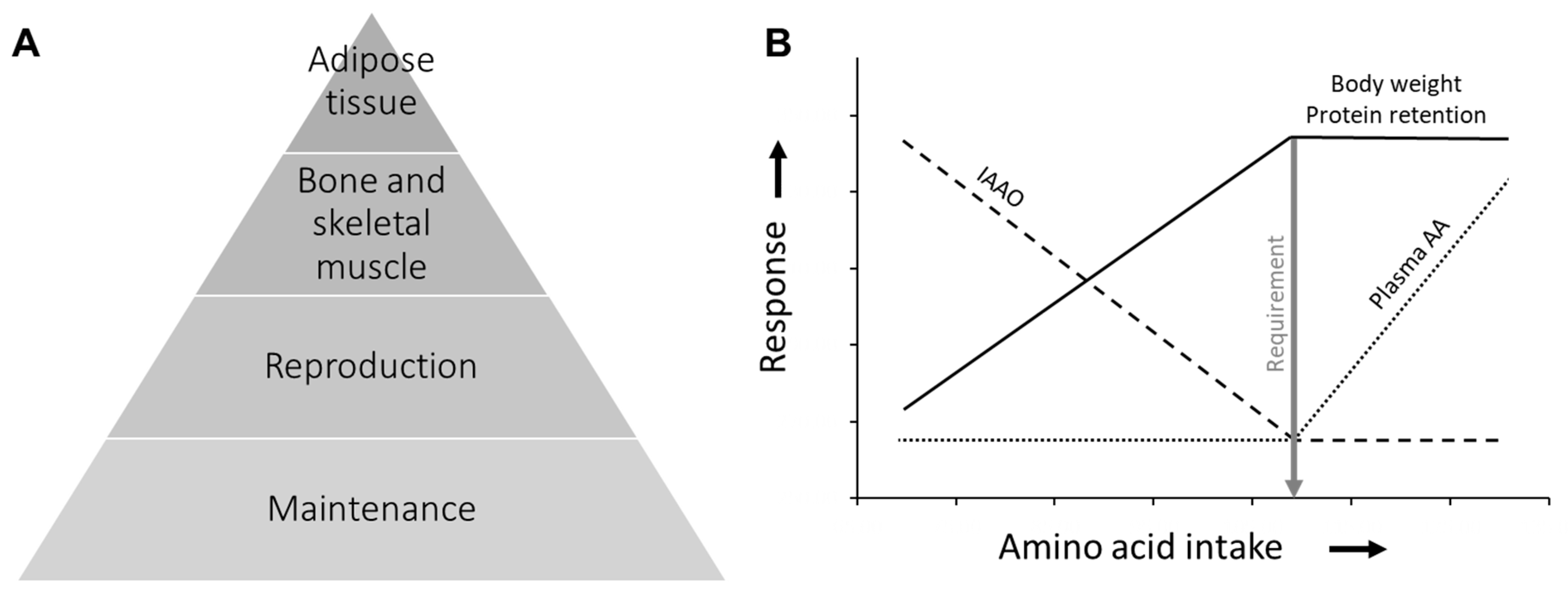 Animals 13 01708 g001 Animals 13 01708 g001
