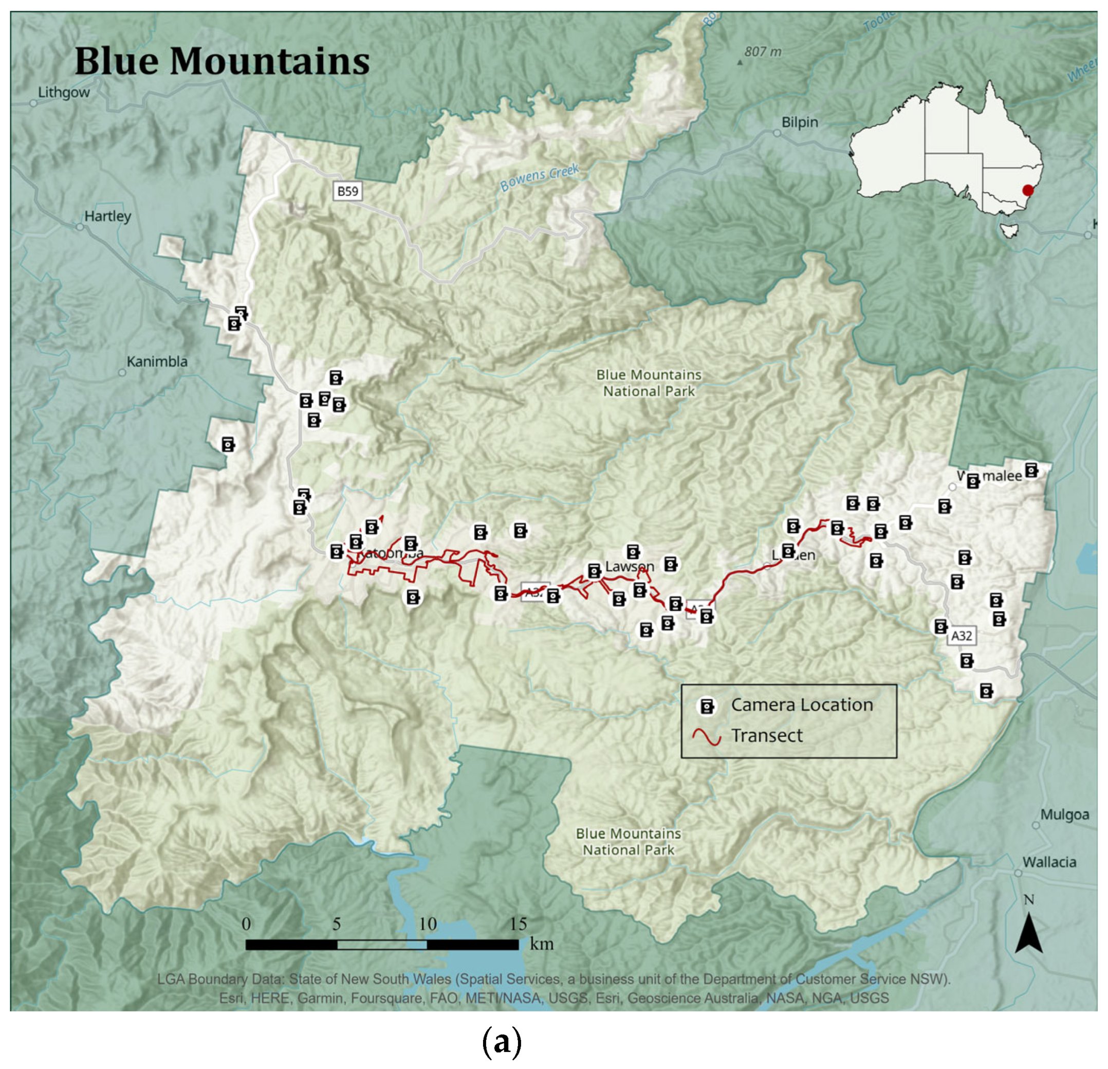 Animals 13 01711 g003a