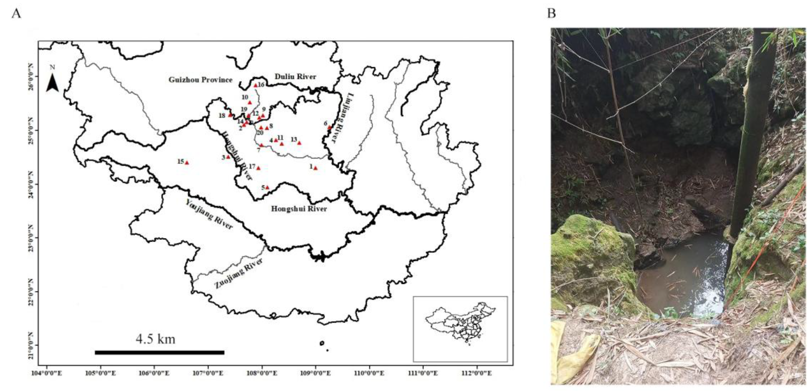 Animals 13 01712 g002