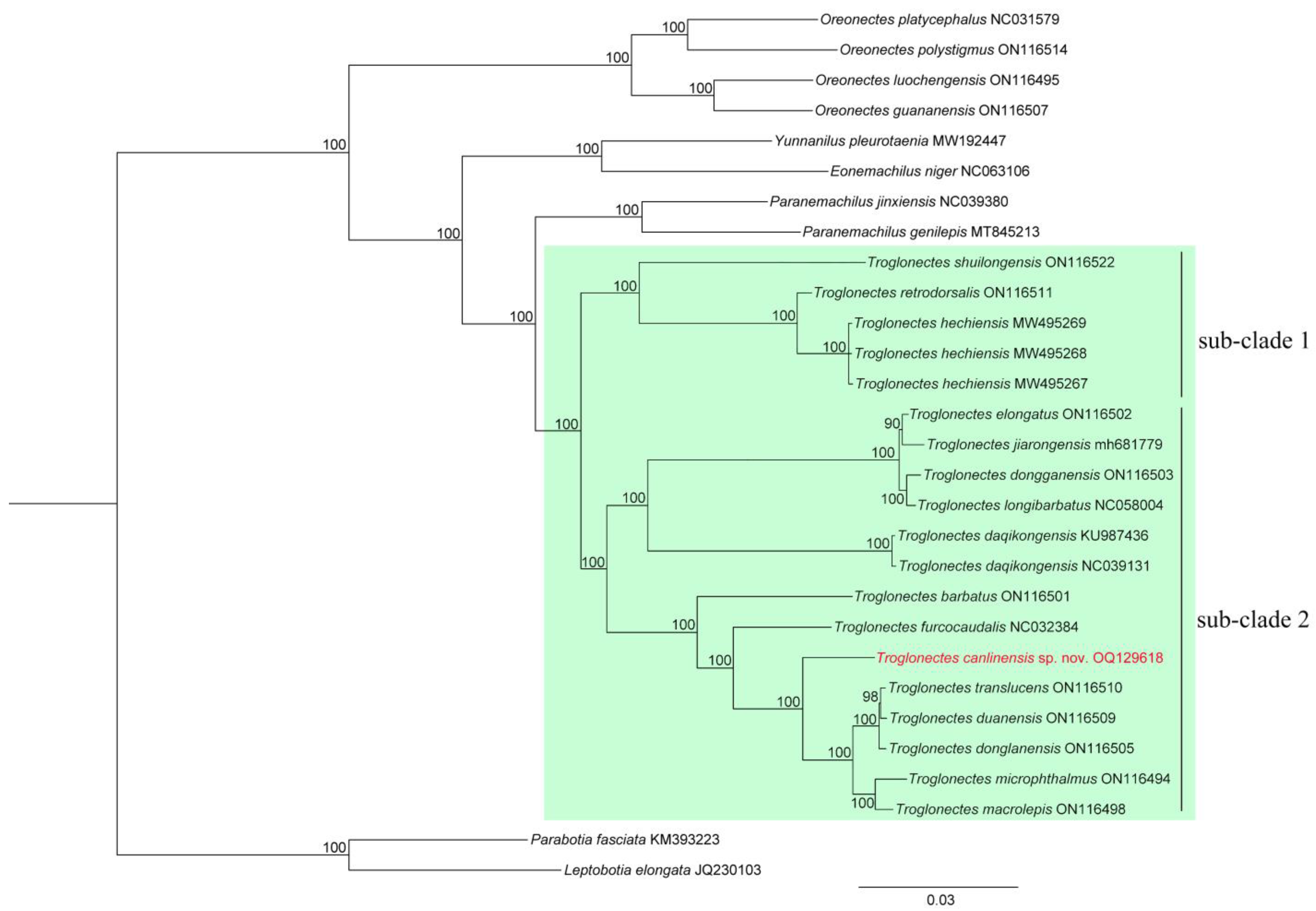 Animals 13 01712 g003