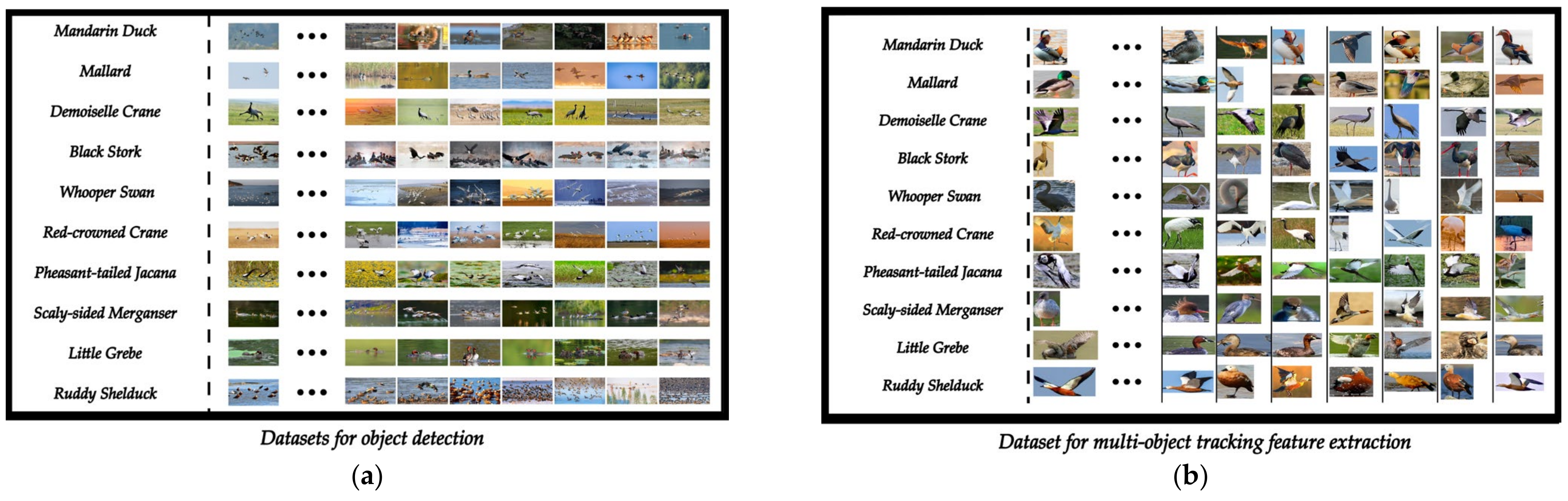 Animals 13 01713 g001 Animals 13 01713 g001