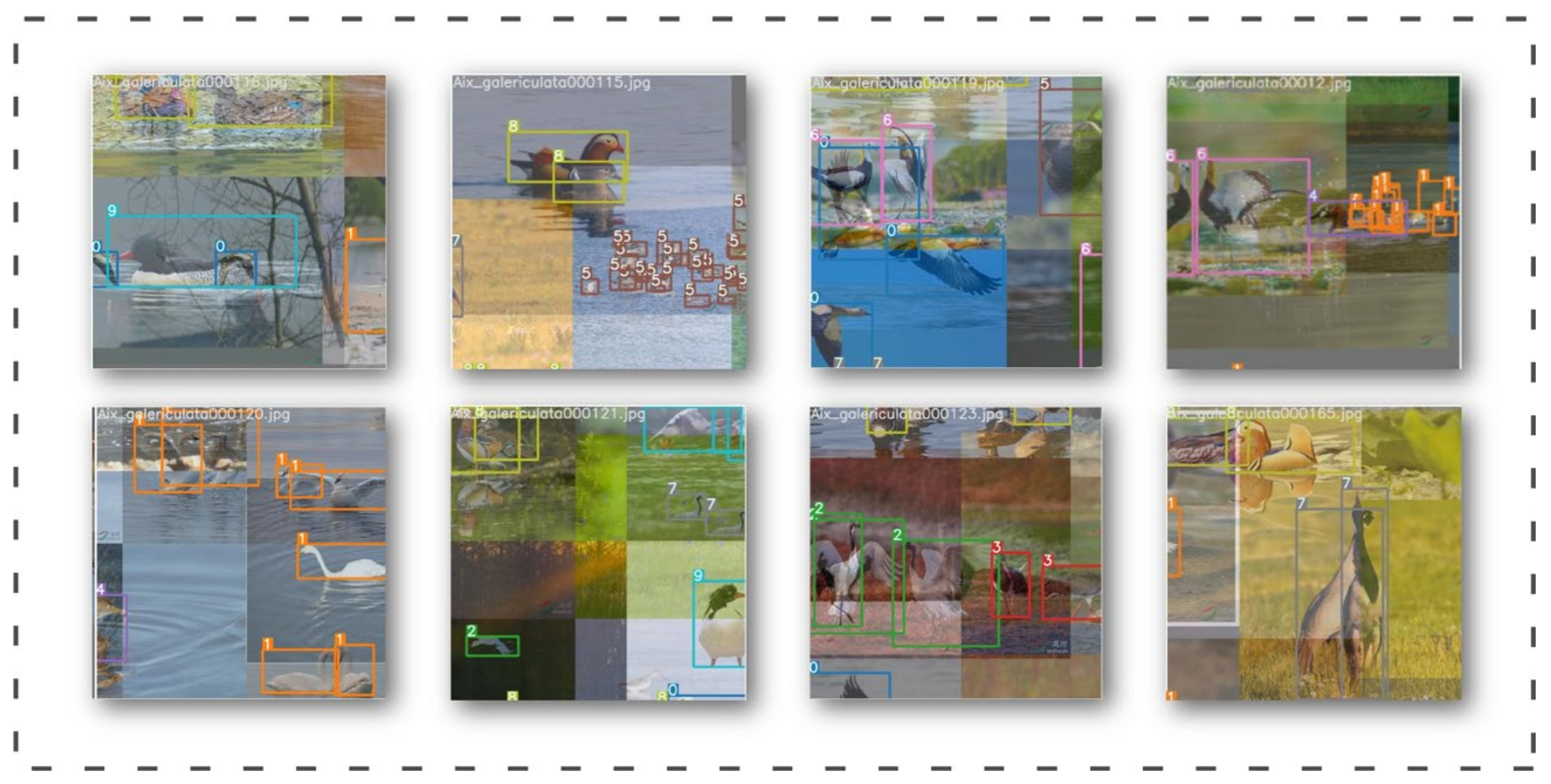 Animals 13 01713 g003 Animals 13 01713 g003