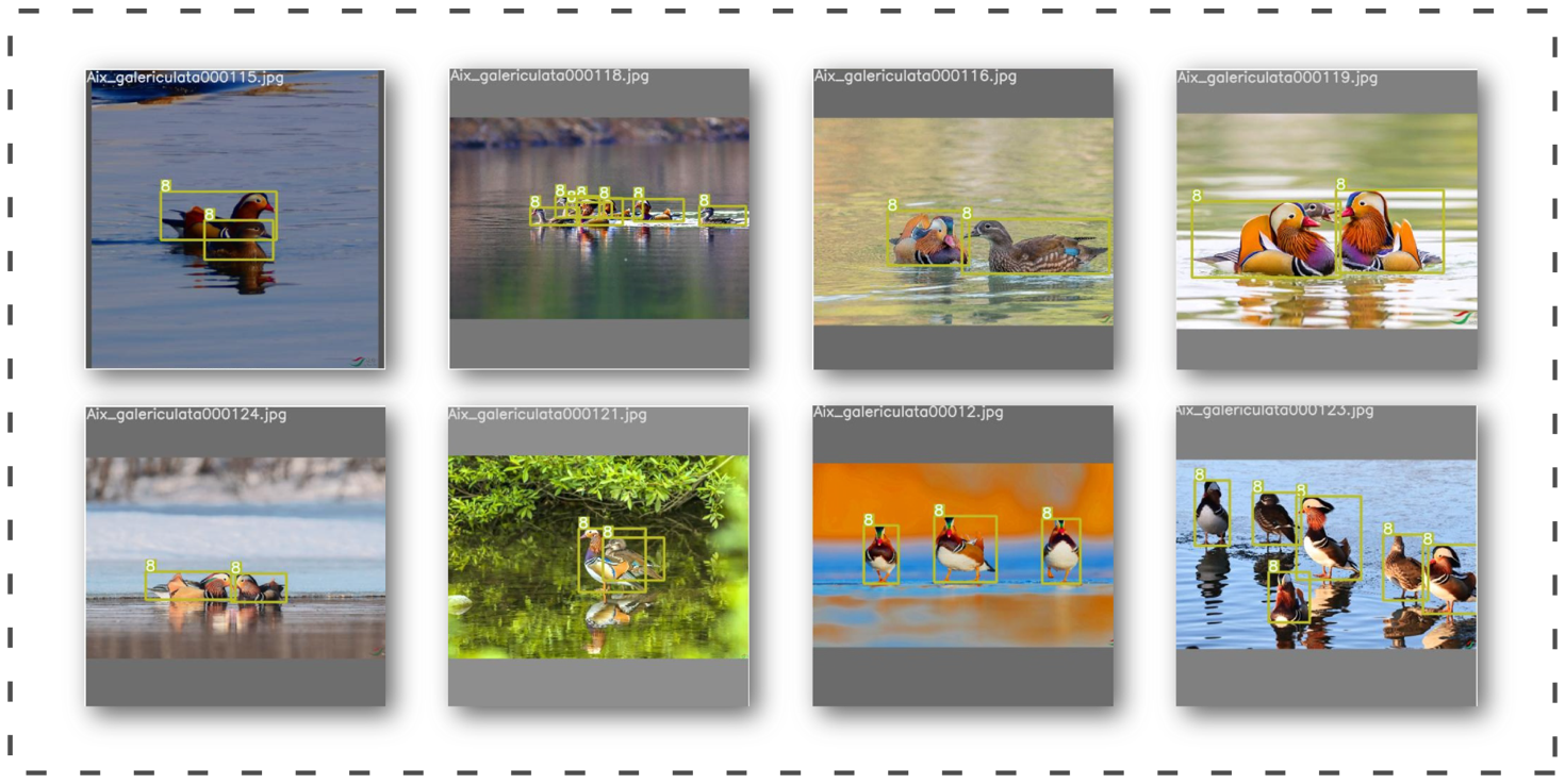 Animals 13 01713 g004 Animals 13 01713 g004