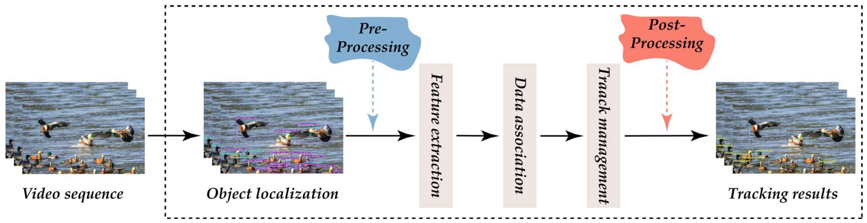 Animals 13 01713 g009 Animals 13 01713 g009