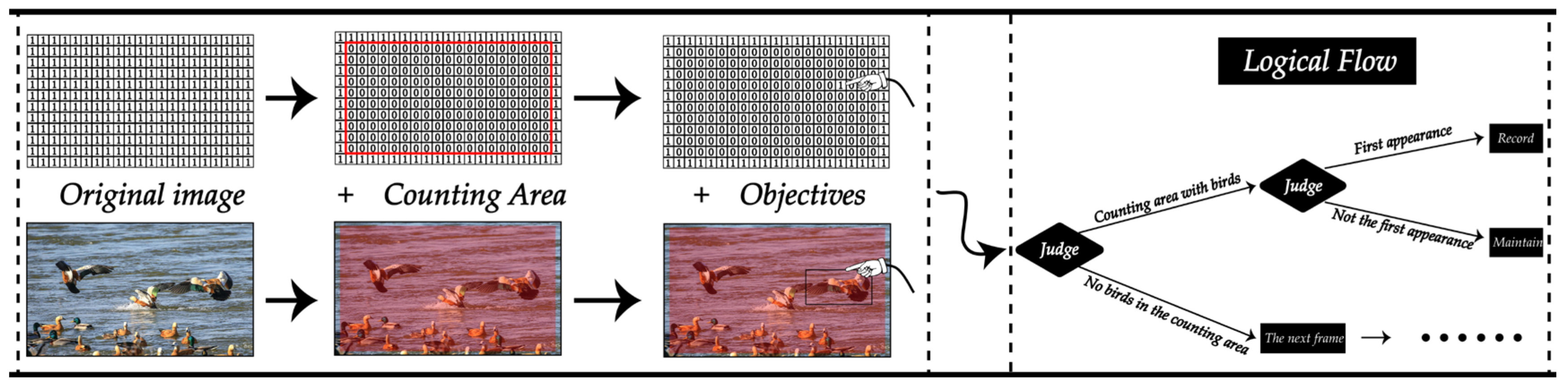 Animals 13 01713 g011 Animals 13 01713 g011