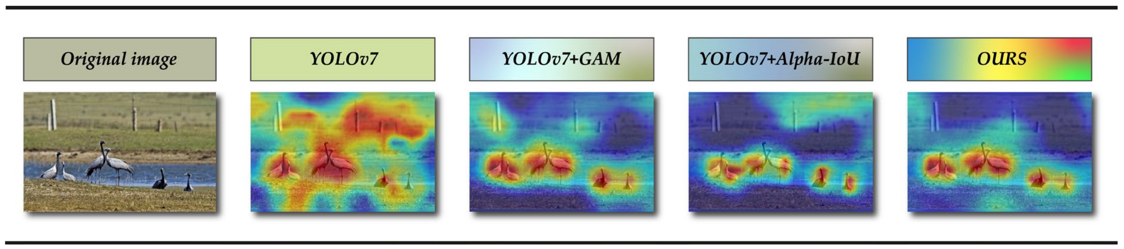 Animals 13 01713 g014 Animals 13 01713 g014