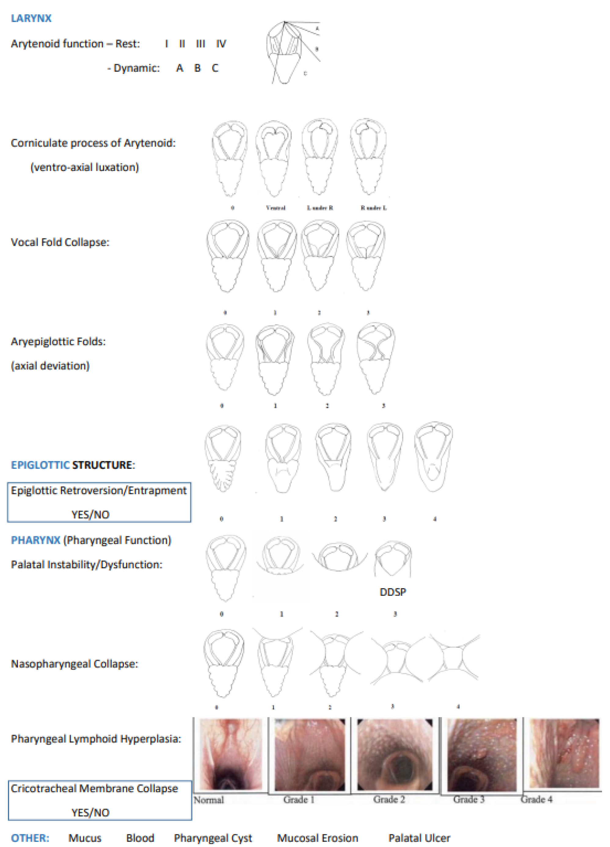 Animals 13 01714 g002 Animals 13 01714 g002