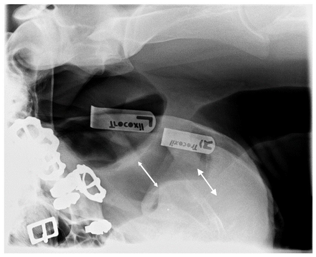 Animals 13 01714 g011 Animals 13 01714 g011