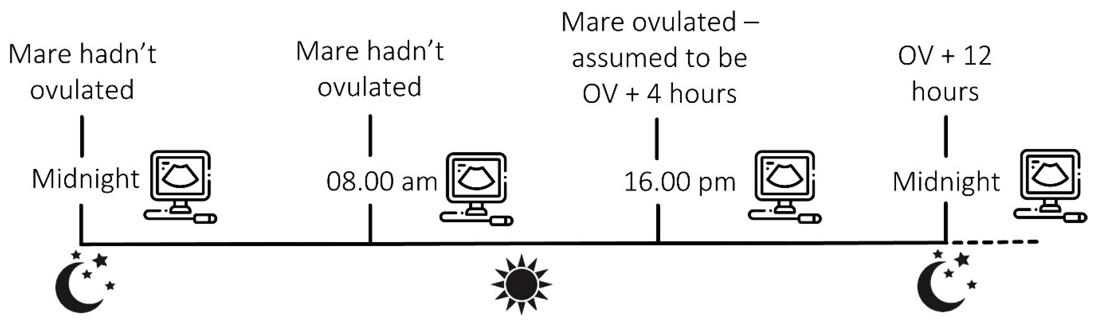 Animals 13 01718 g001 Animals 13 01718 g001