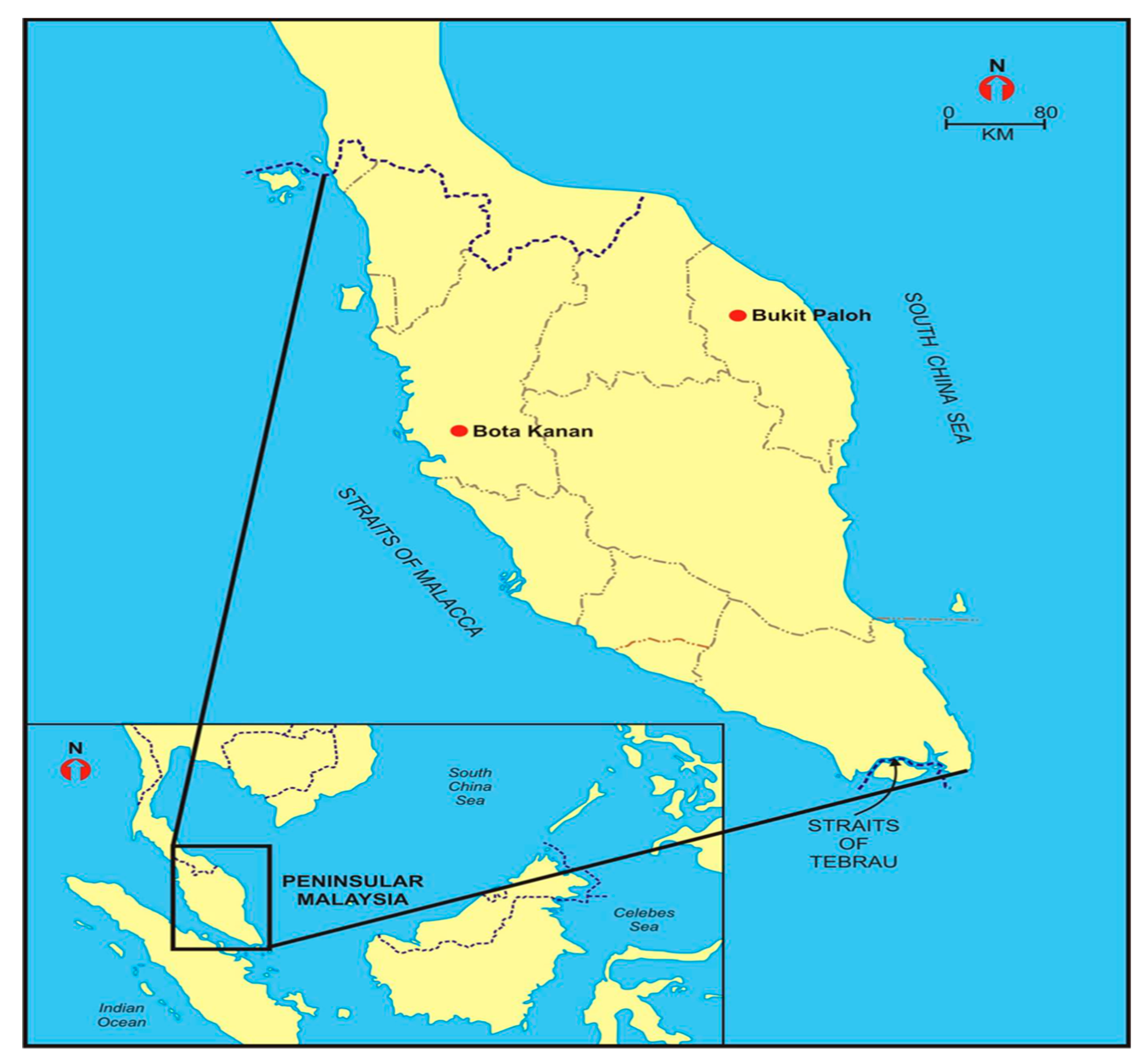 Animals 13 01720 g001