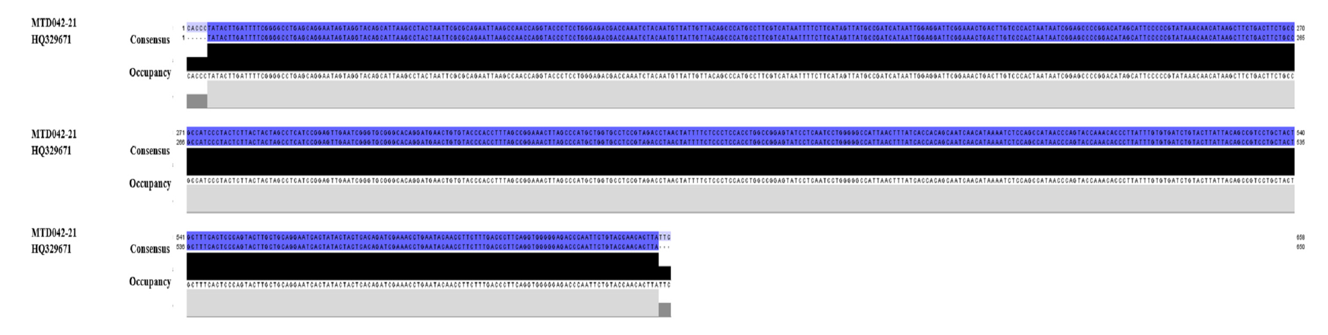 Animals 13 01720 g006