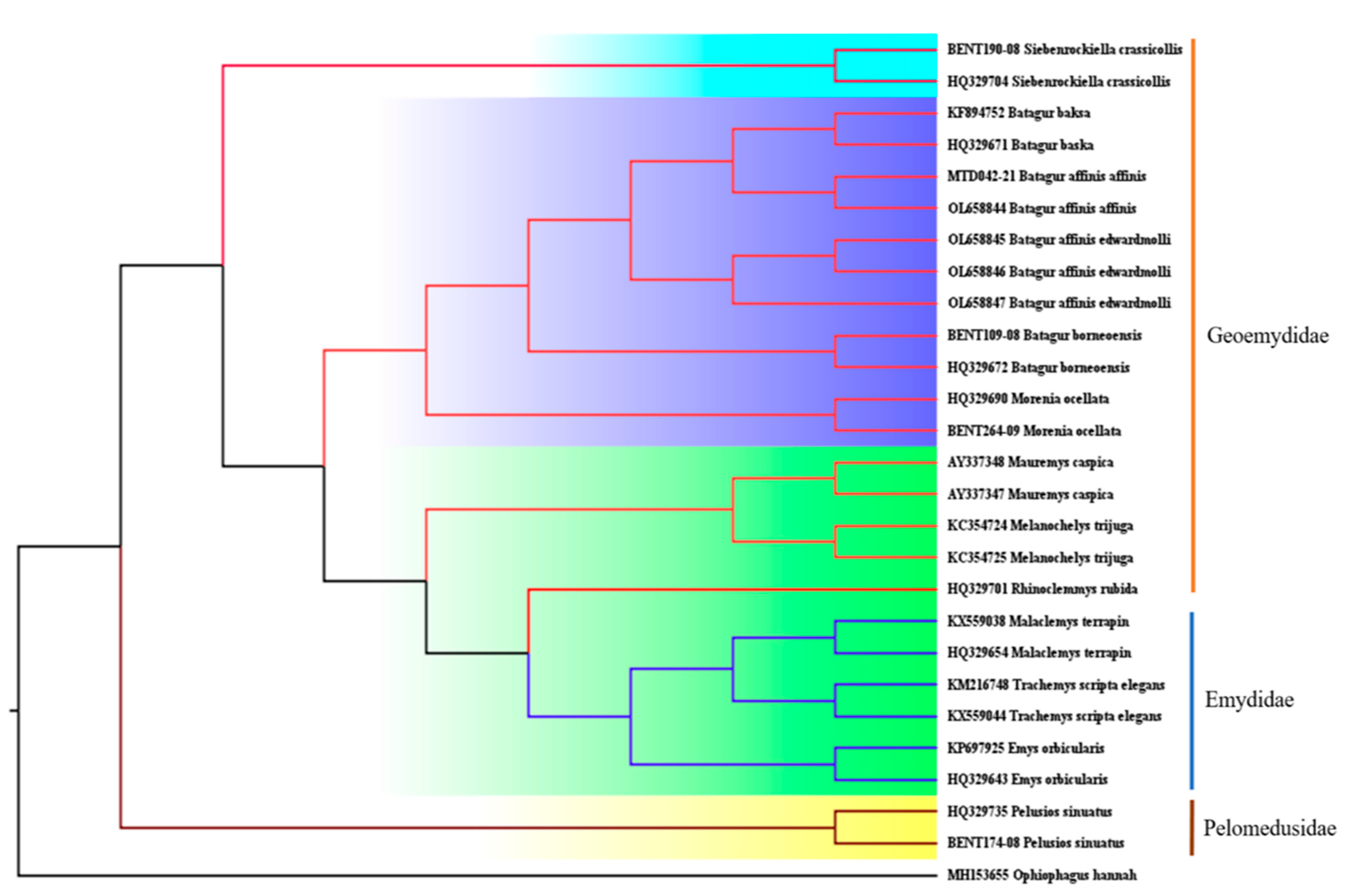 Animals 13 01720 g007