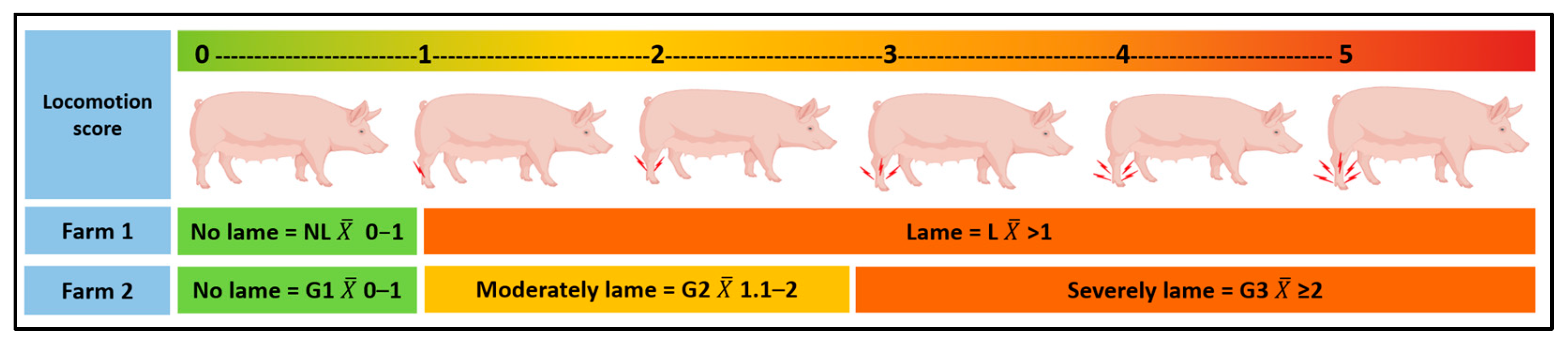 Animals 13 01722 g001