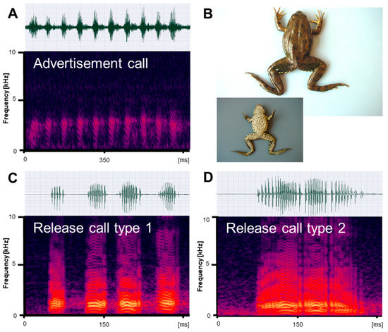 https://www.mdpi.com/animals/animals-13-01725/article_deploy/html/images/animals-13-01725-g001-550.jpg