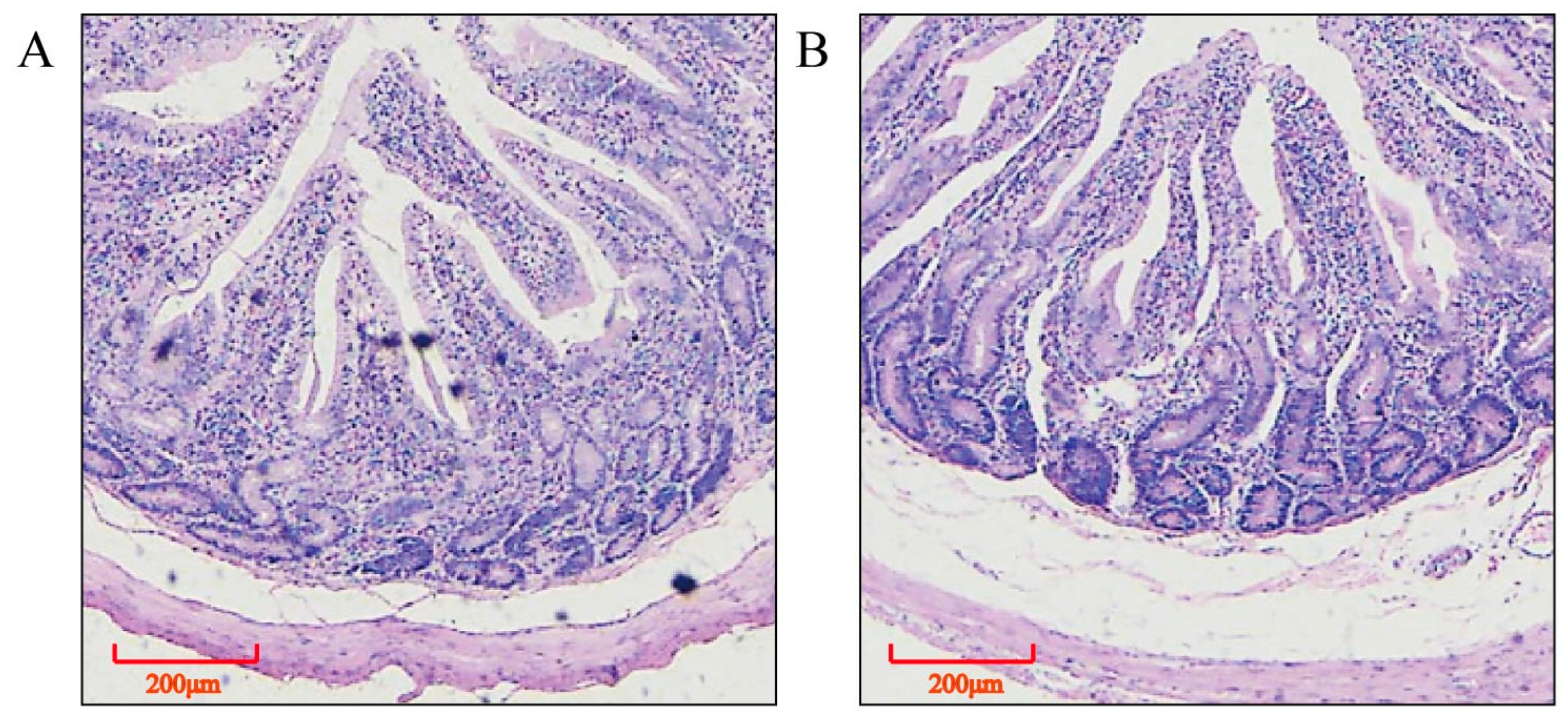 Animals 13 01733 g001 Animals 13 01733 g001