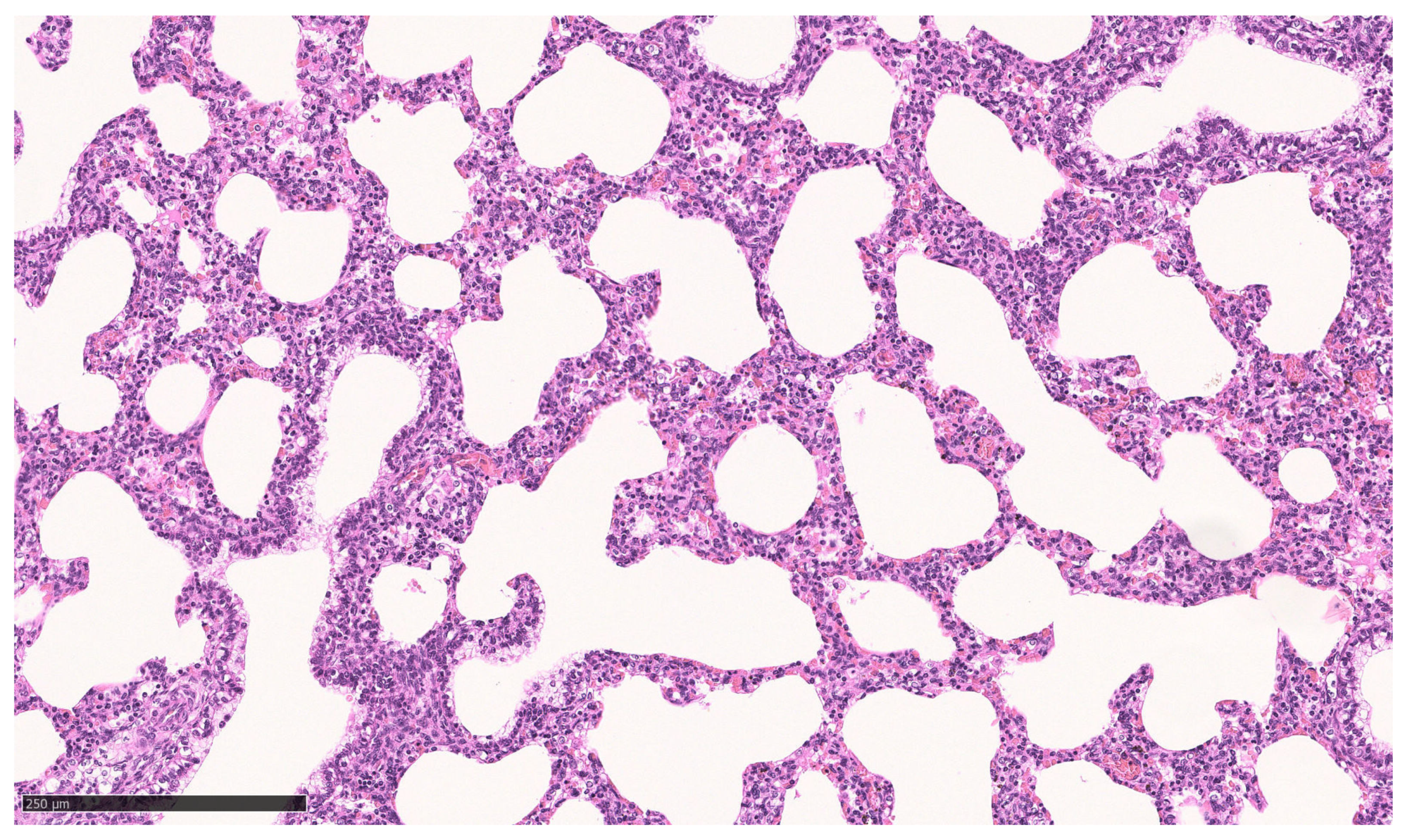 Animals 13 01741 g007