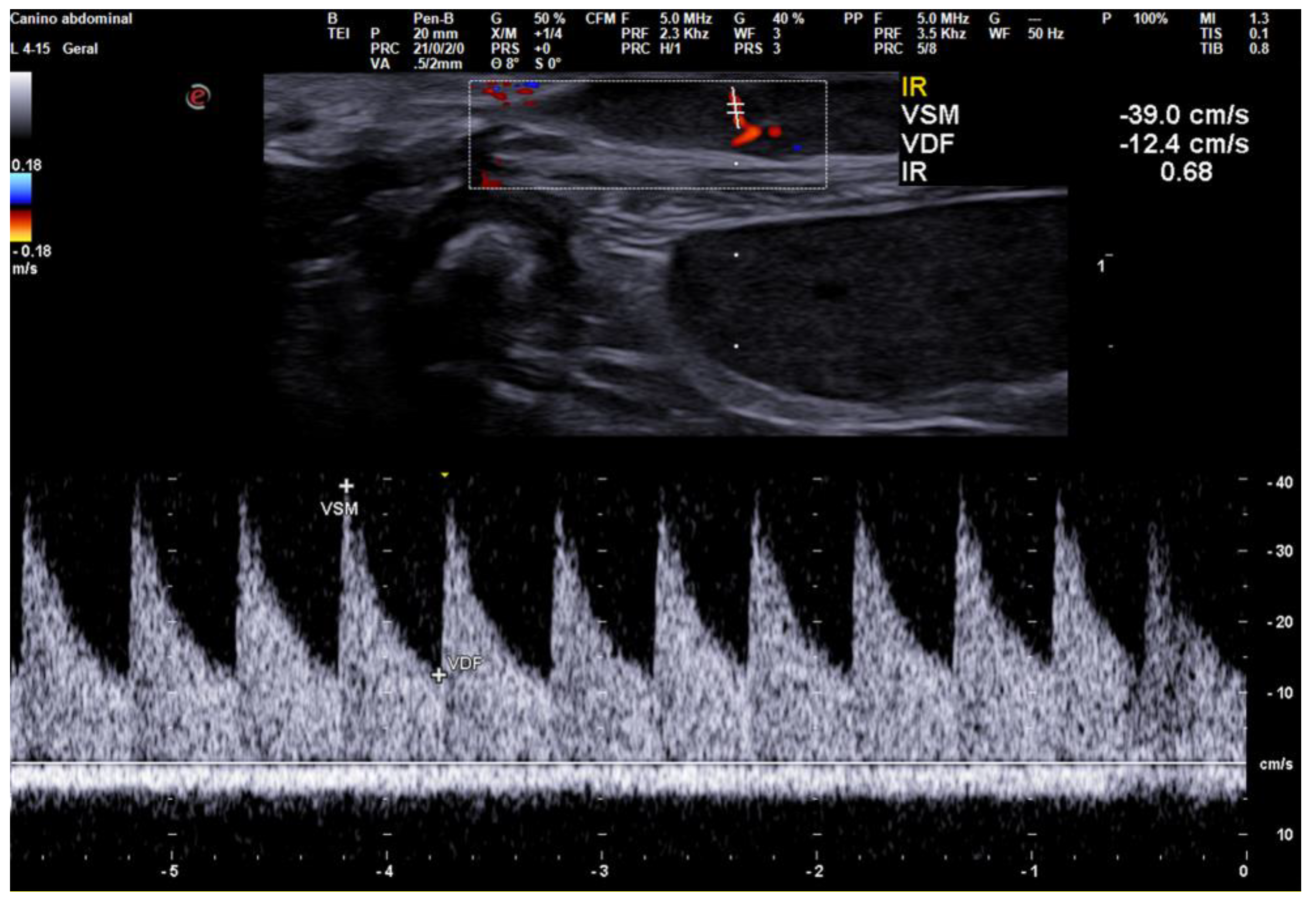 Animals 13 01742 g002