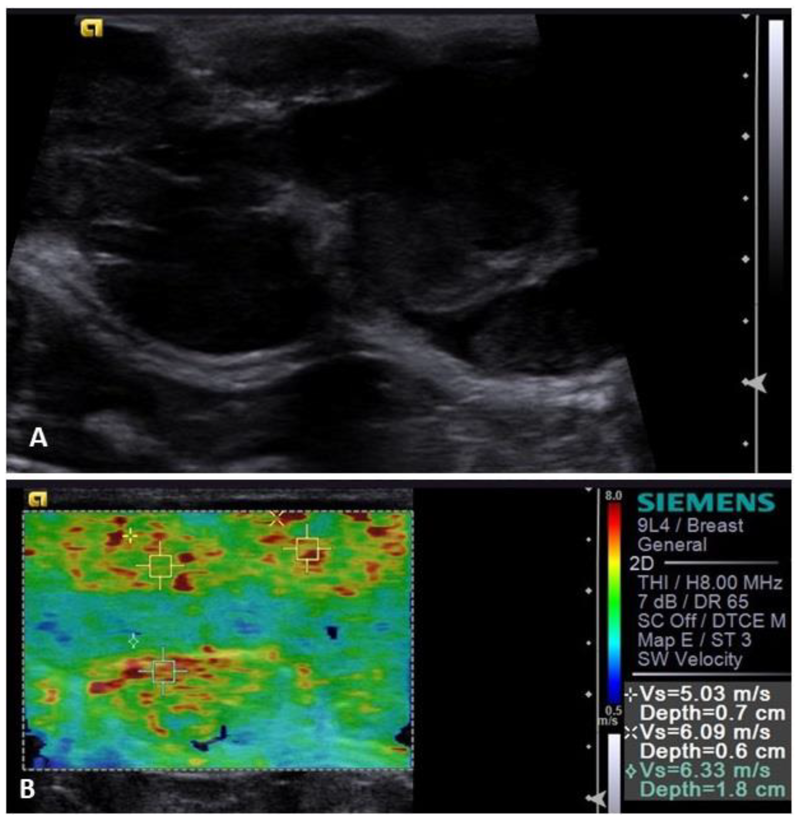 Animals 13 01742 g003