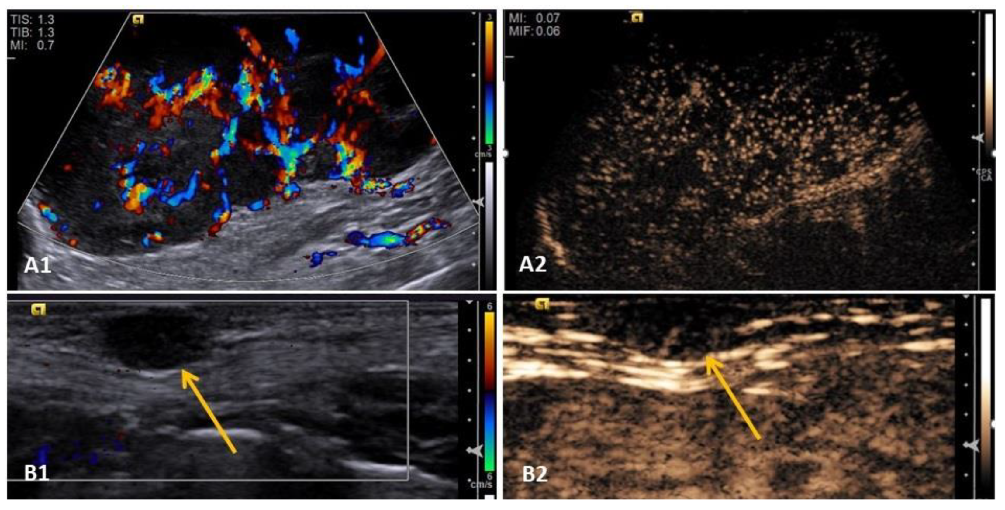 Animals 13 01742 g004