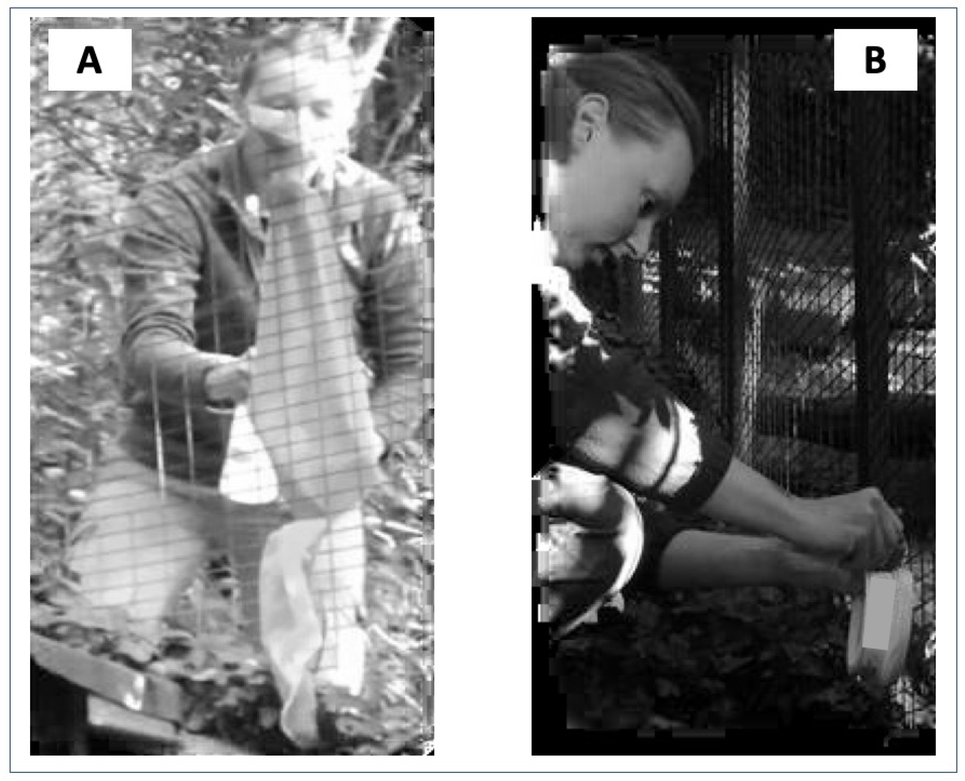 Animals 13 01762 g001 Animals 13 01762 g001