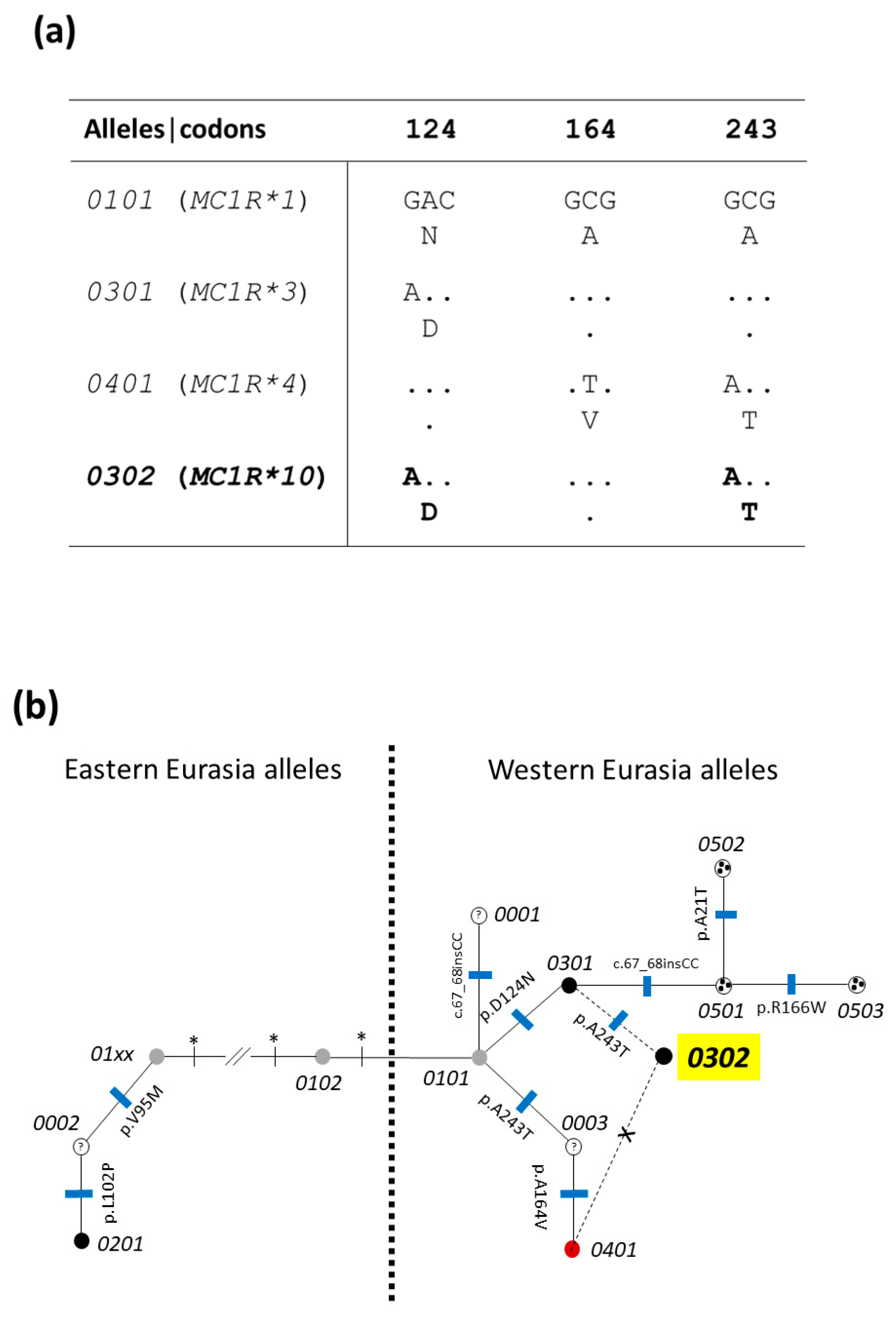 Animals 13 01763 g002
