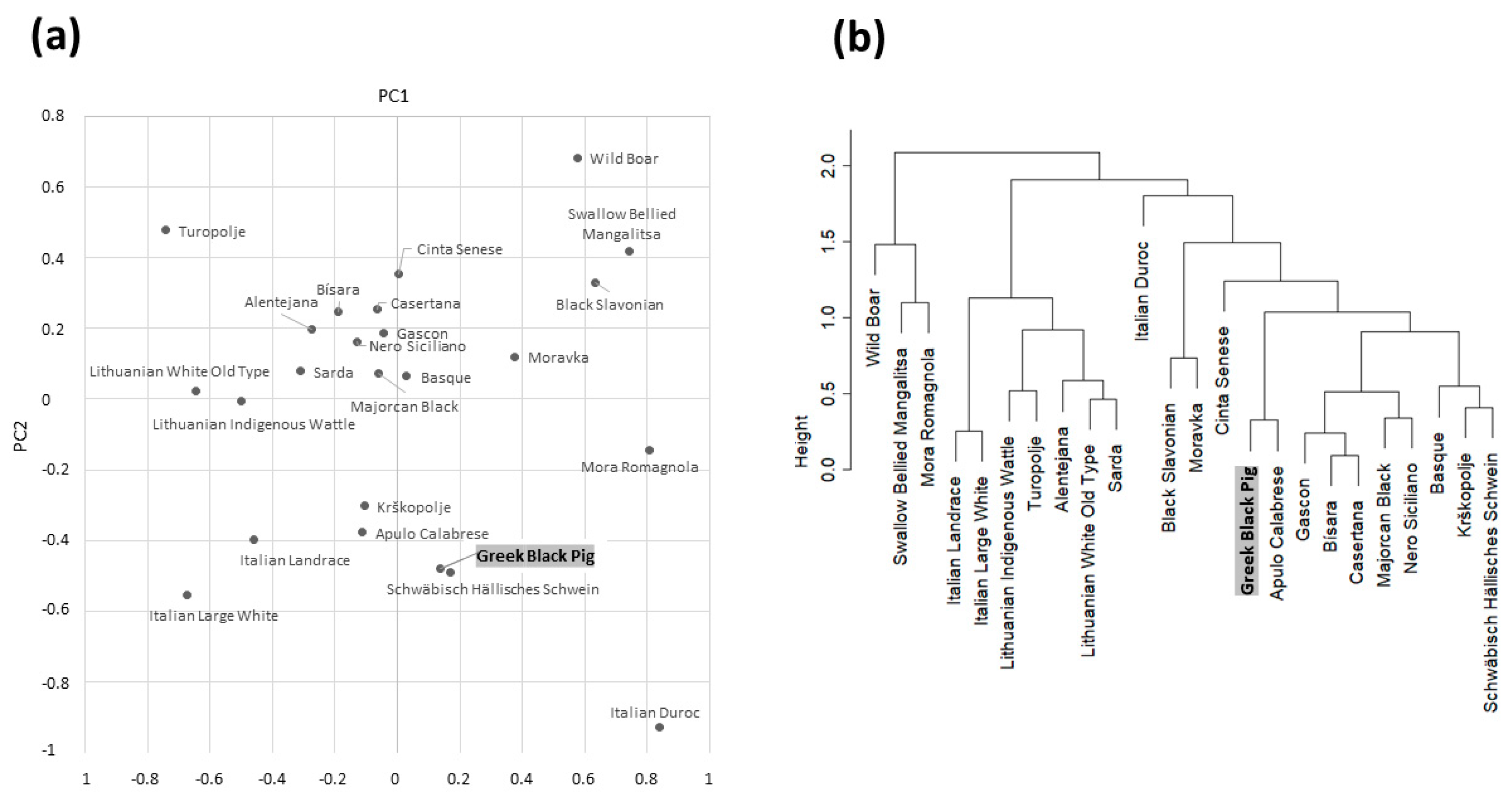 Animals 13 01763 g003