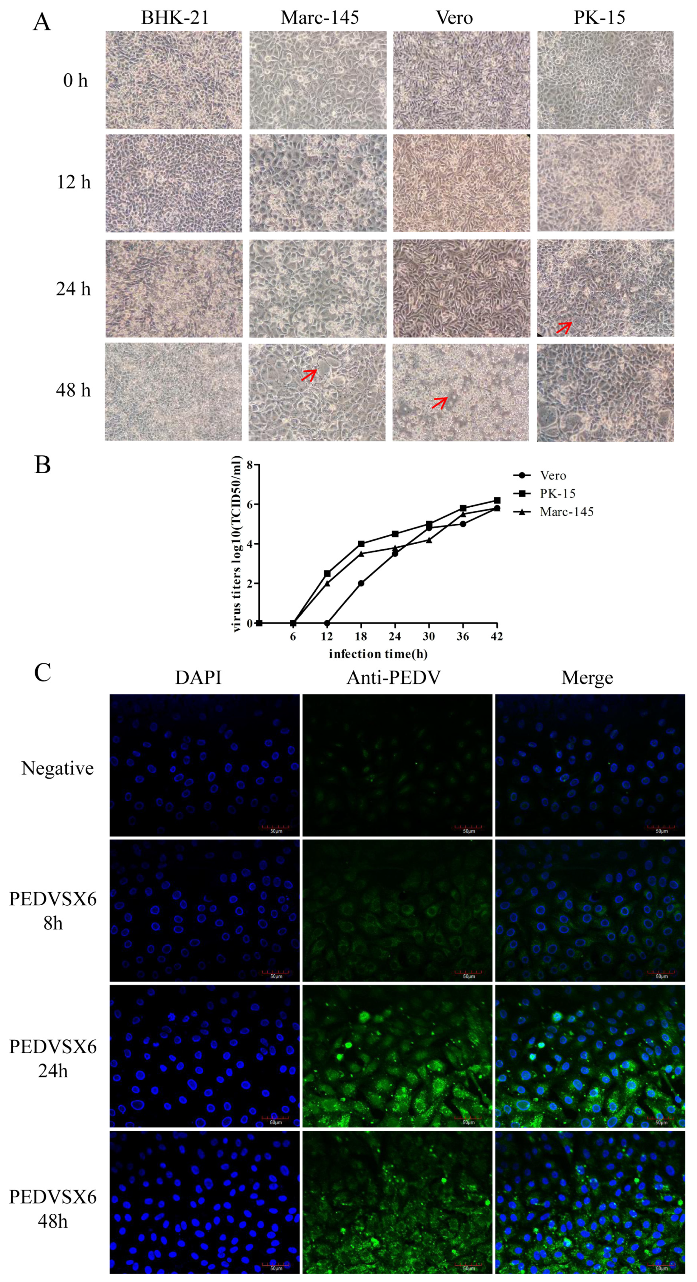 Animals 13 01766 g003 Animals 13 01766 g003
