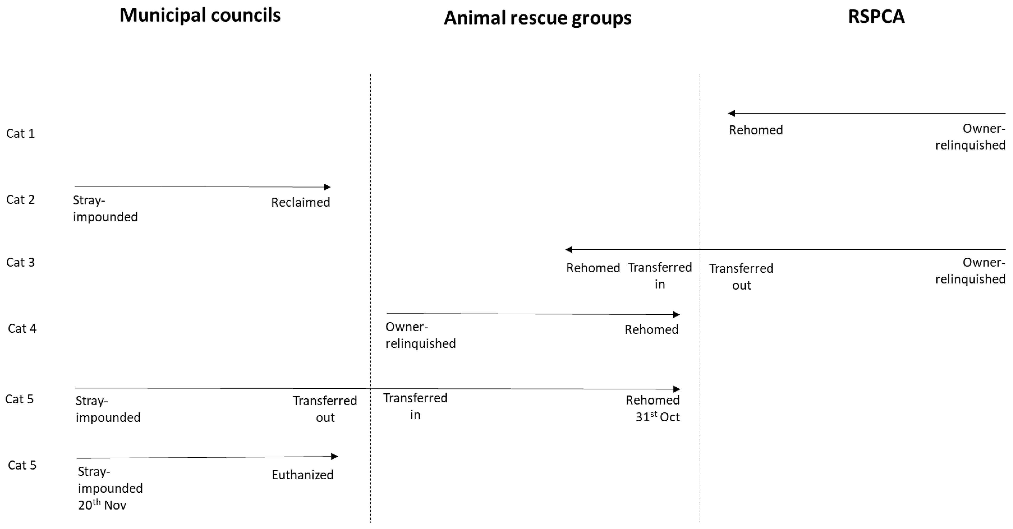 Animals 13 01771 g0a1 Animals 13 01771 g0a1