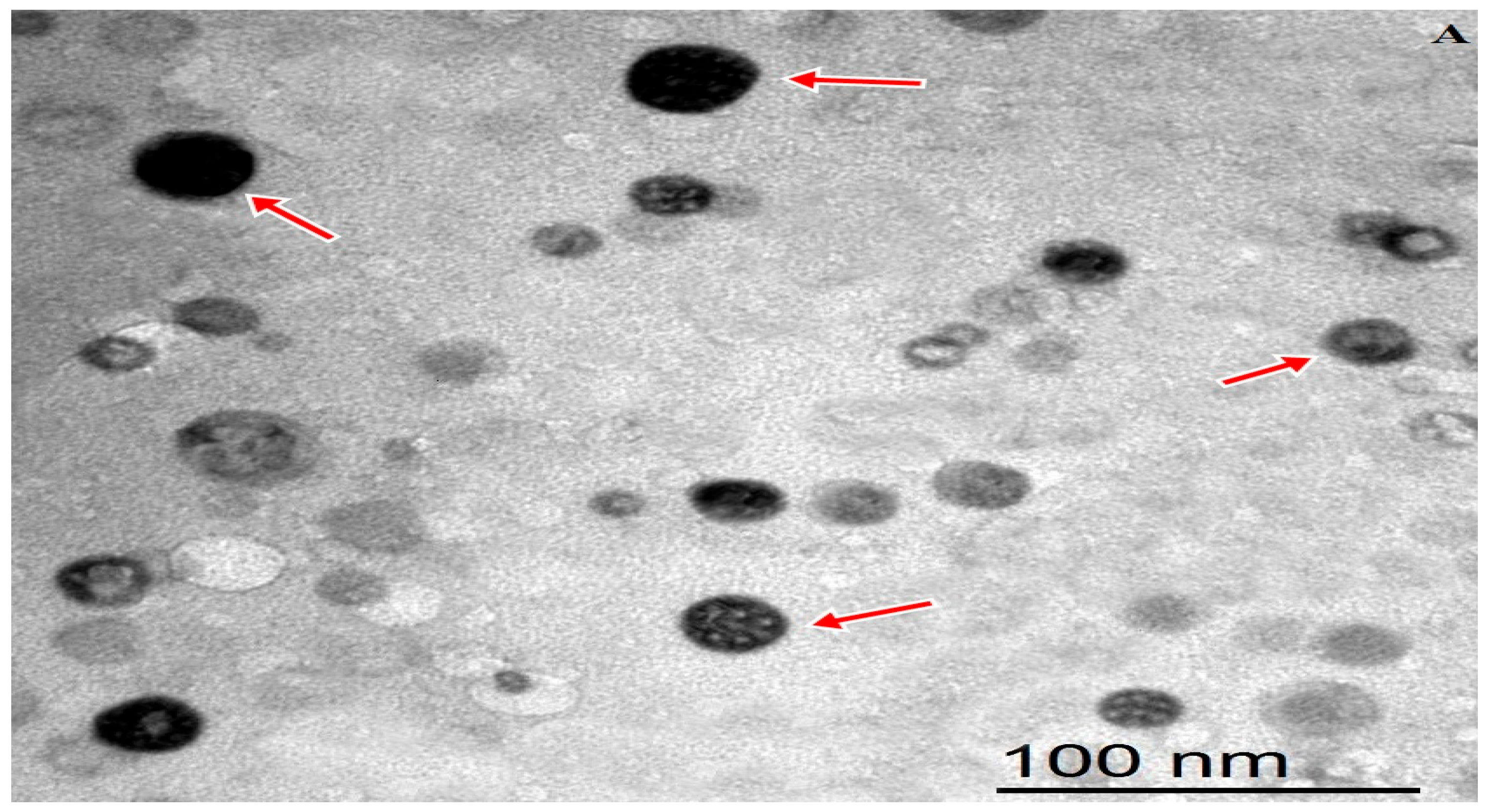 Animals 13 01772 g001a