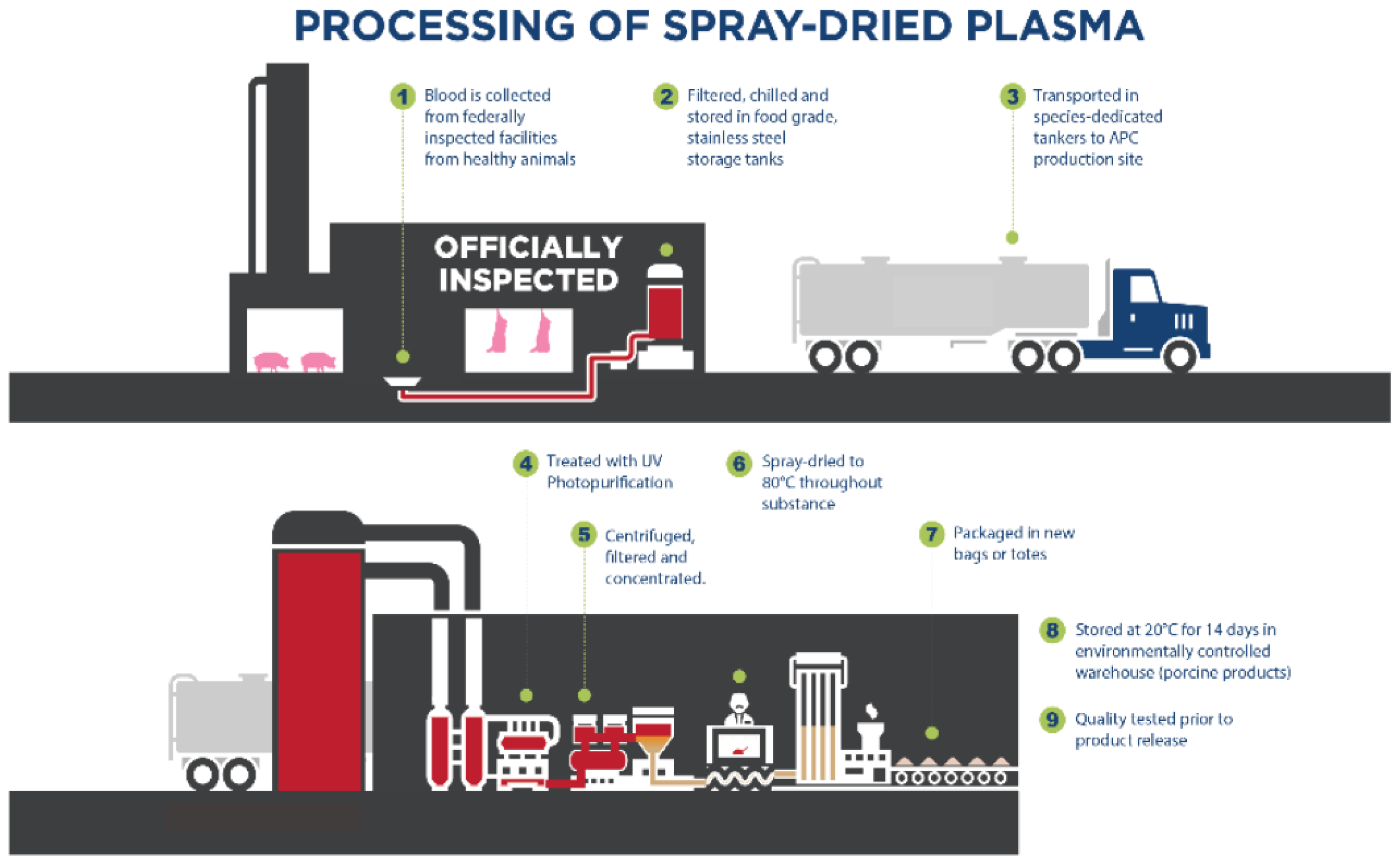 Animals 13 01773 g001