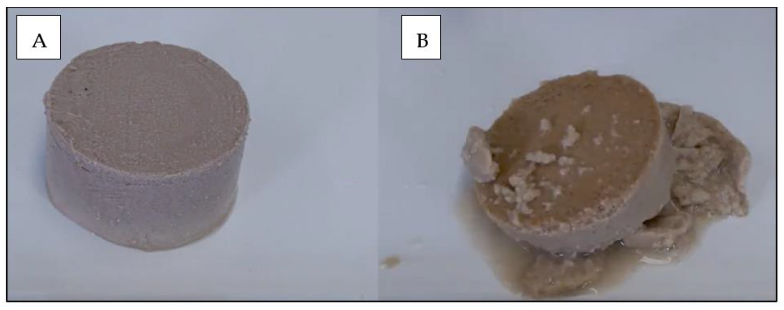 Animals 13 01773 g004