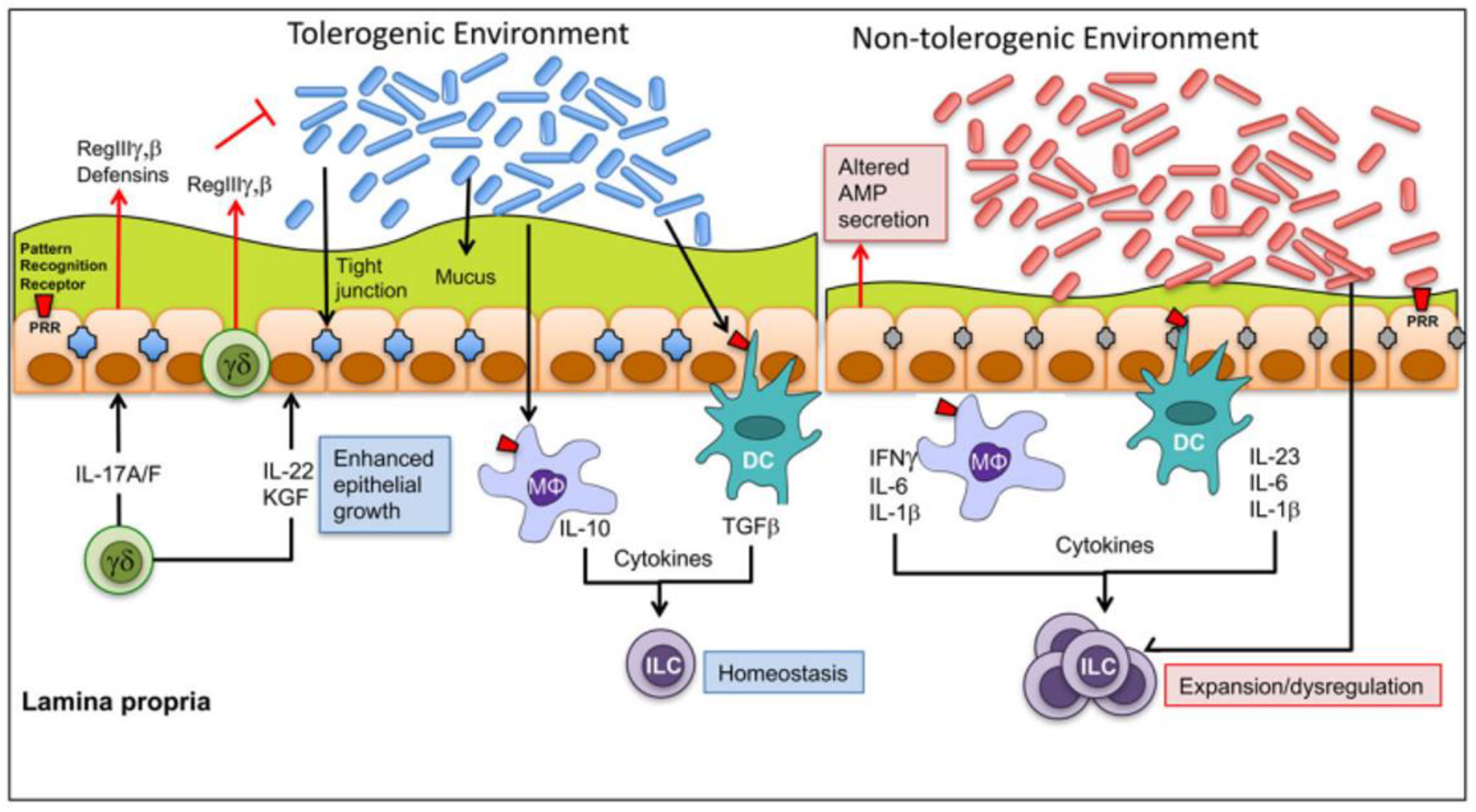 Animals 13 01773 g007