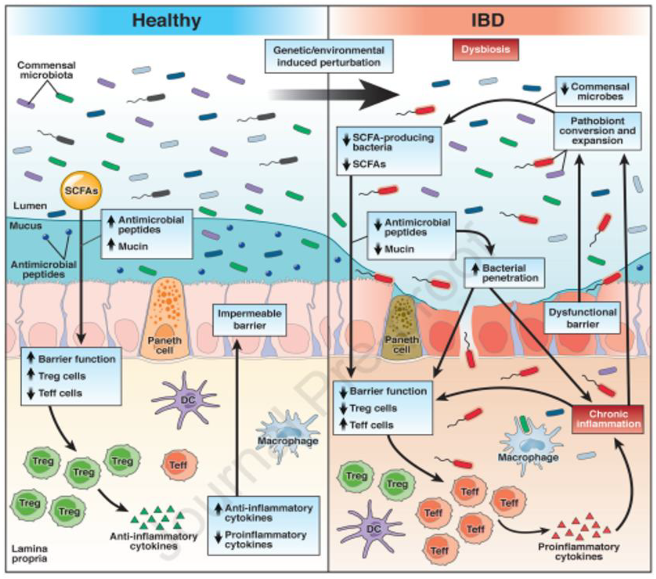 Animals 13 01773 g008