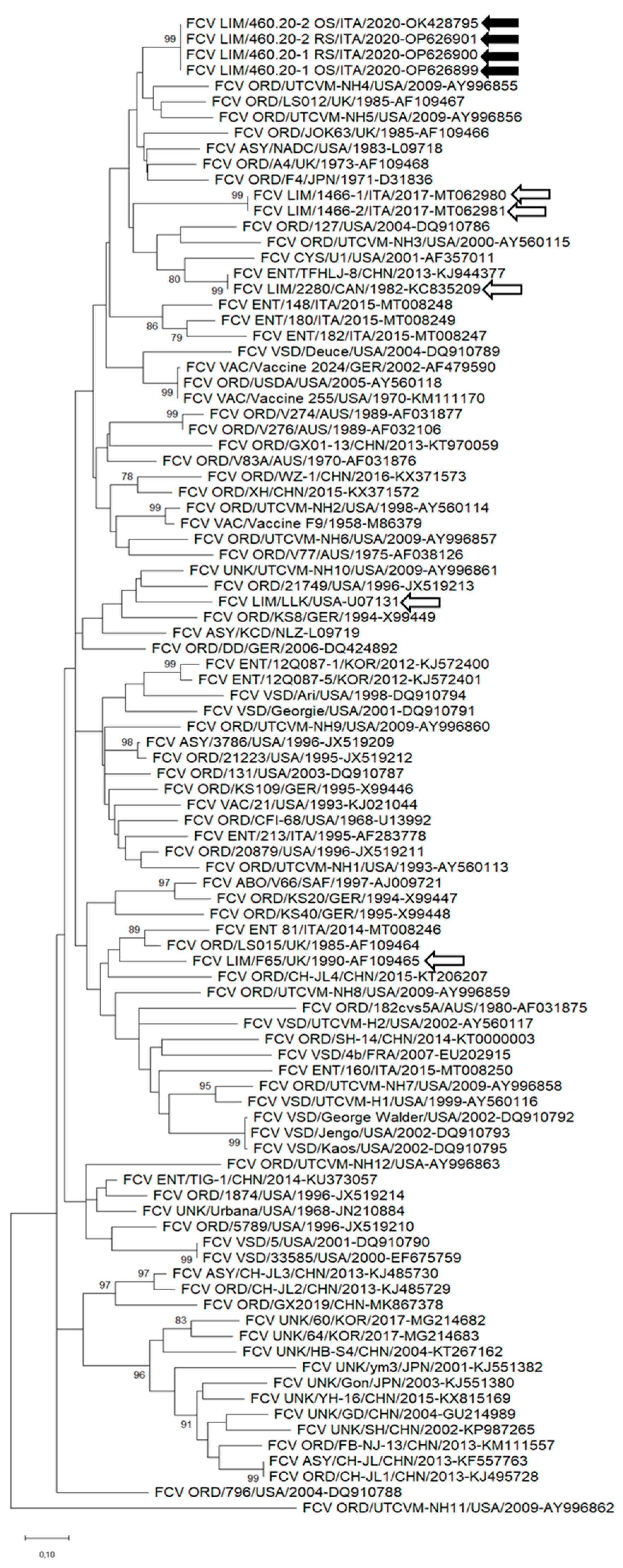 Animals 13 01778 g003