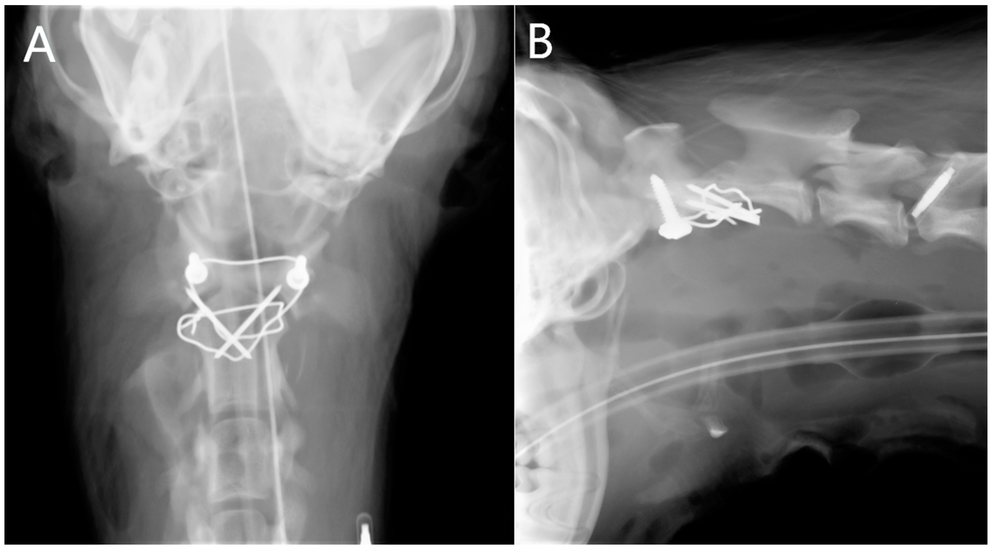 Animals 13 01780 g002 Animals 13 01780 g002