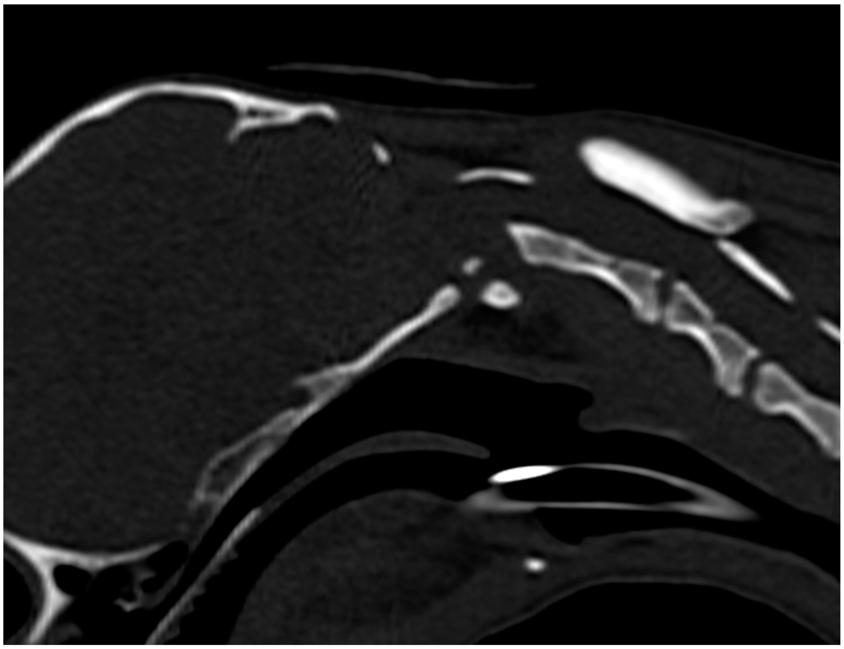 Animals 13 01780 g003 Animals 13 01780 g003